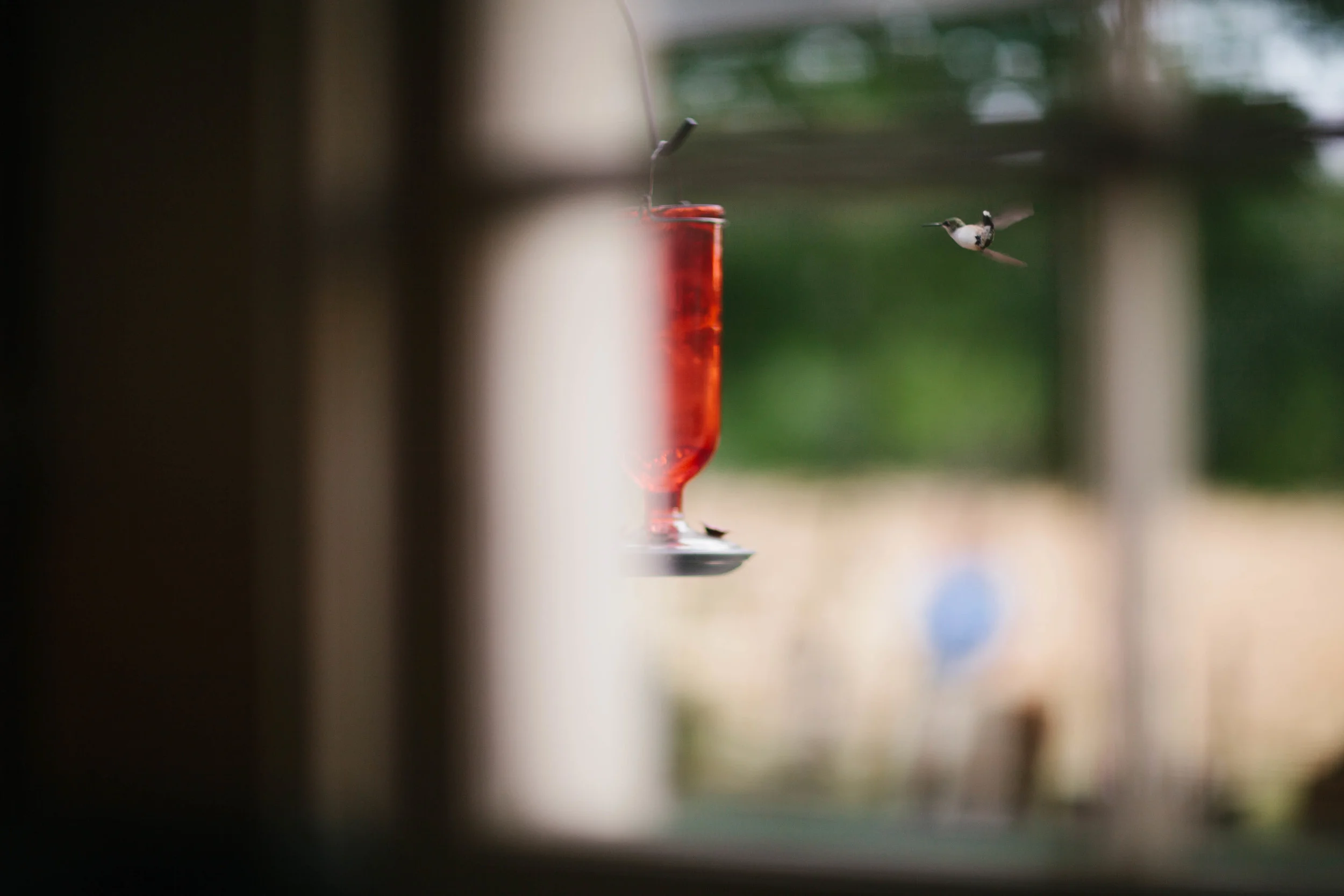 manzanitaphoto31206.JPG