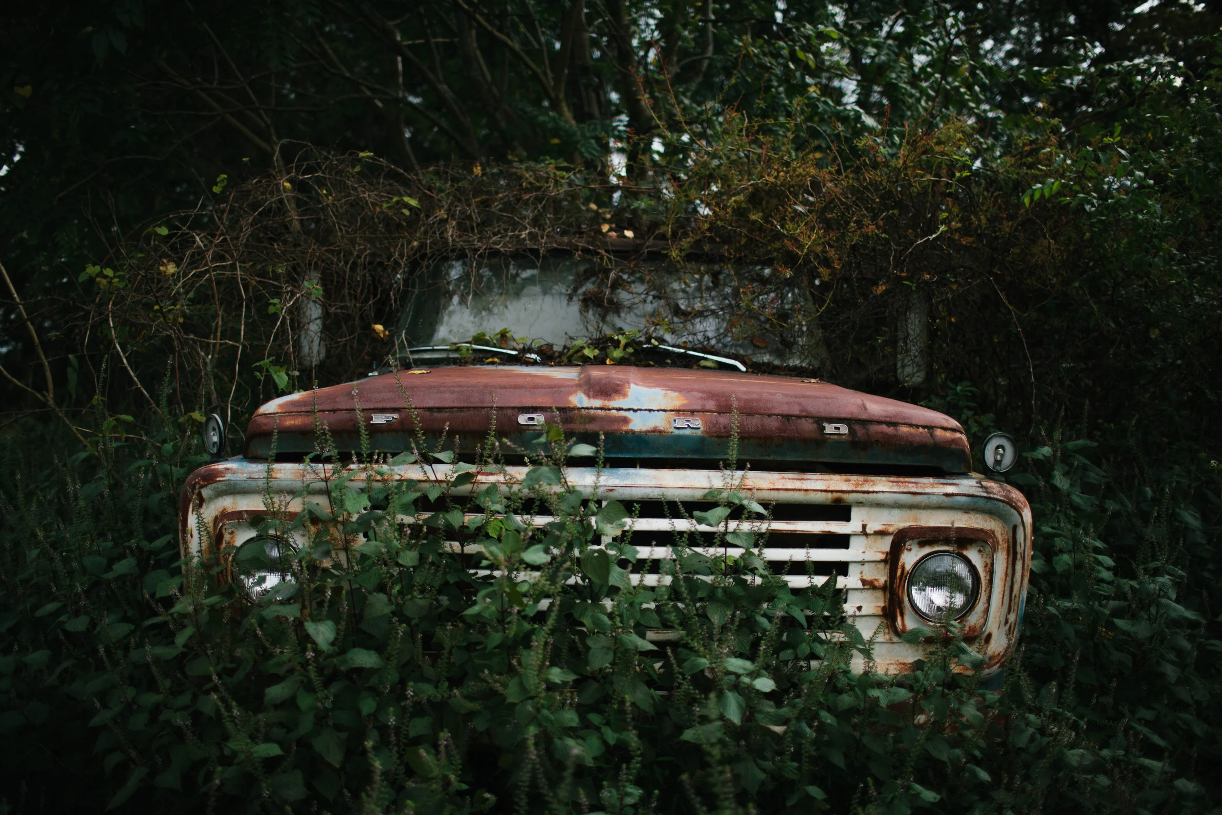 manzanitaphoto38360.JPG