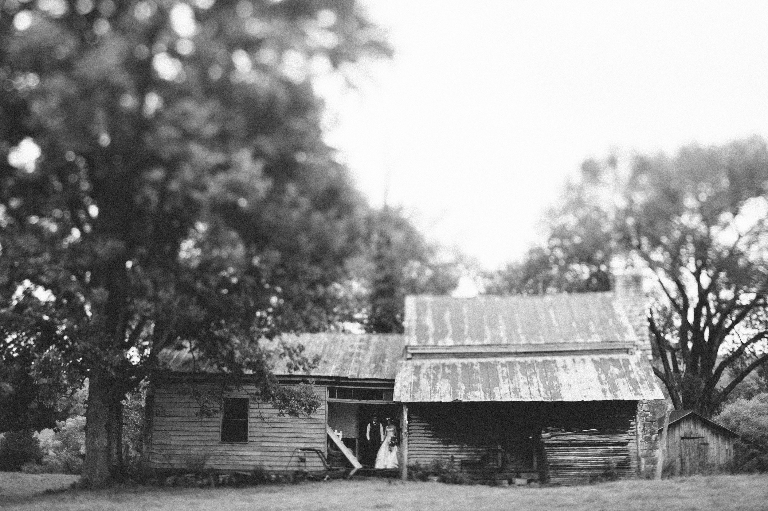 manzanitaphoto38684.JPG