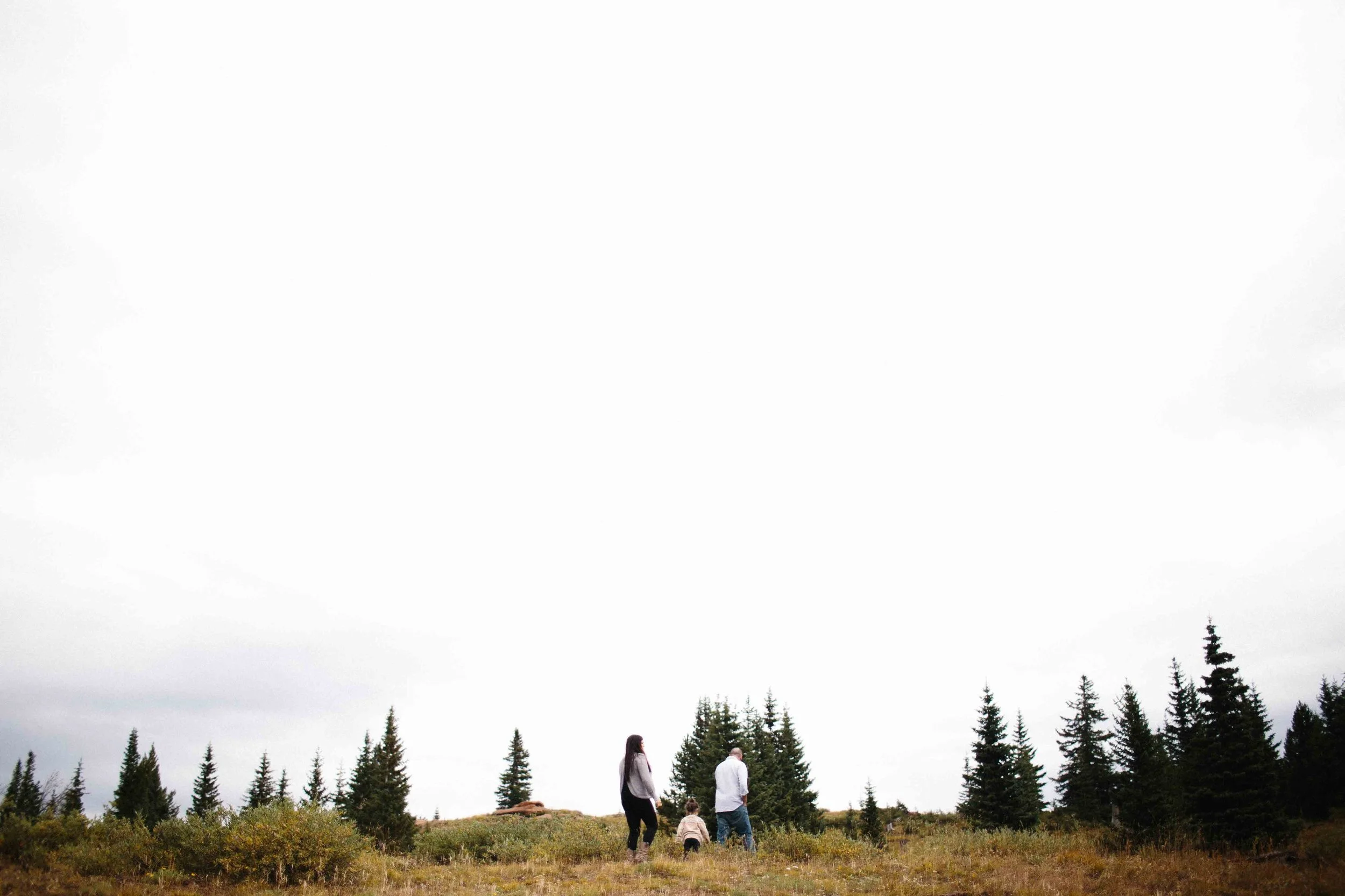 manzanitaphoto13266.JPG