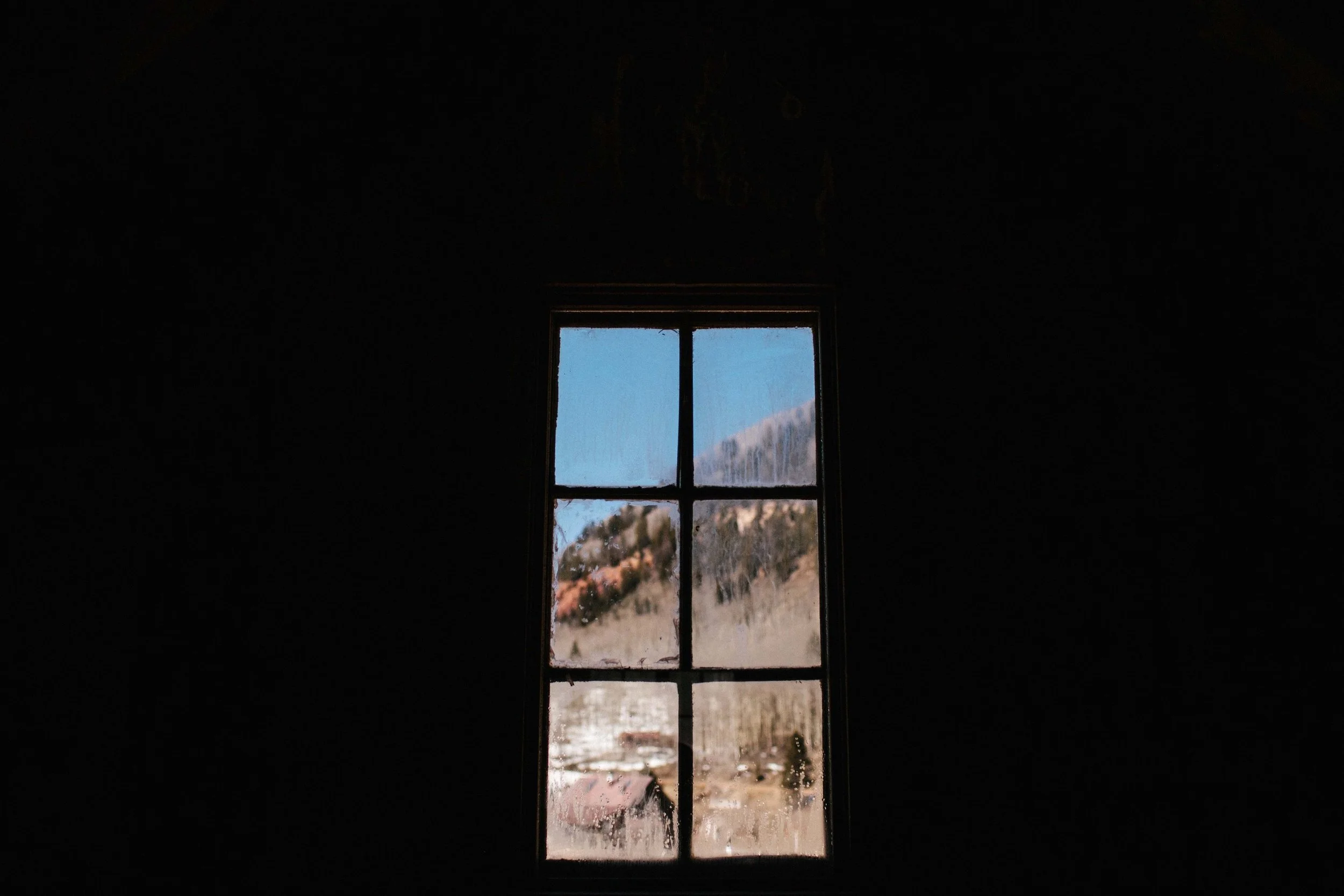 manzanitaphoto46277.JPG