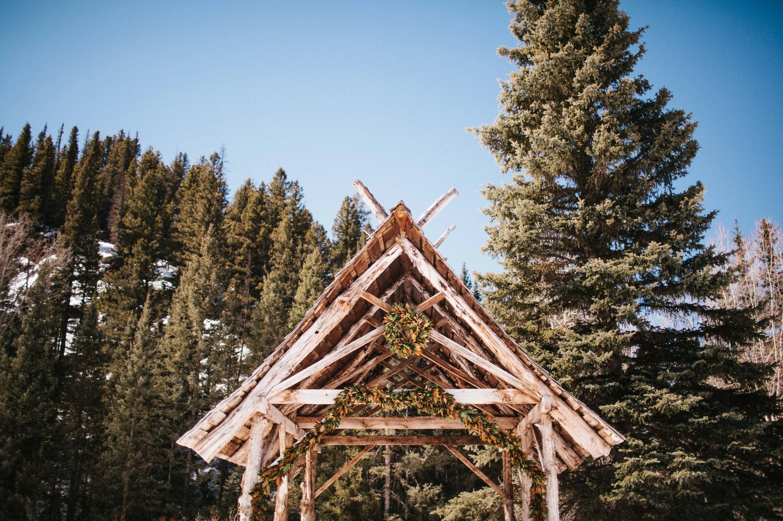 manzanitaphoto46274.JPG