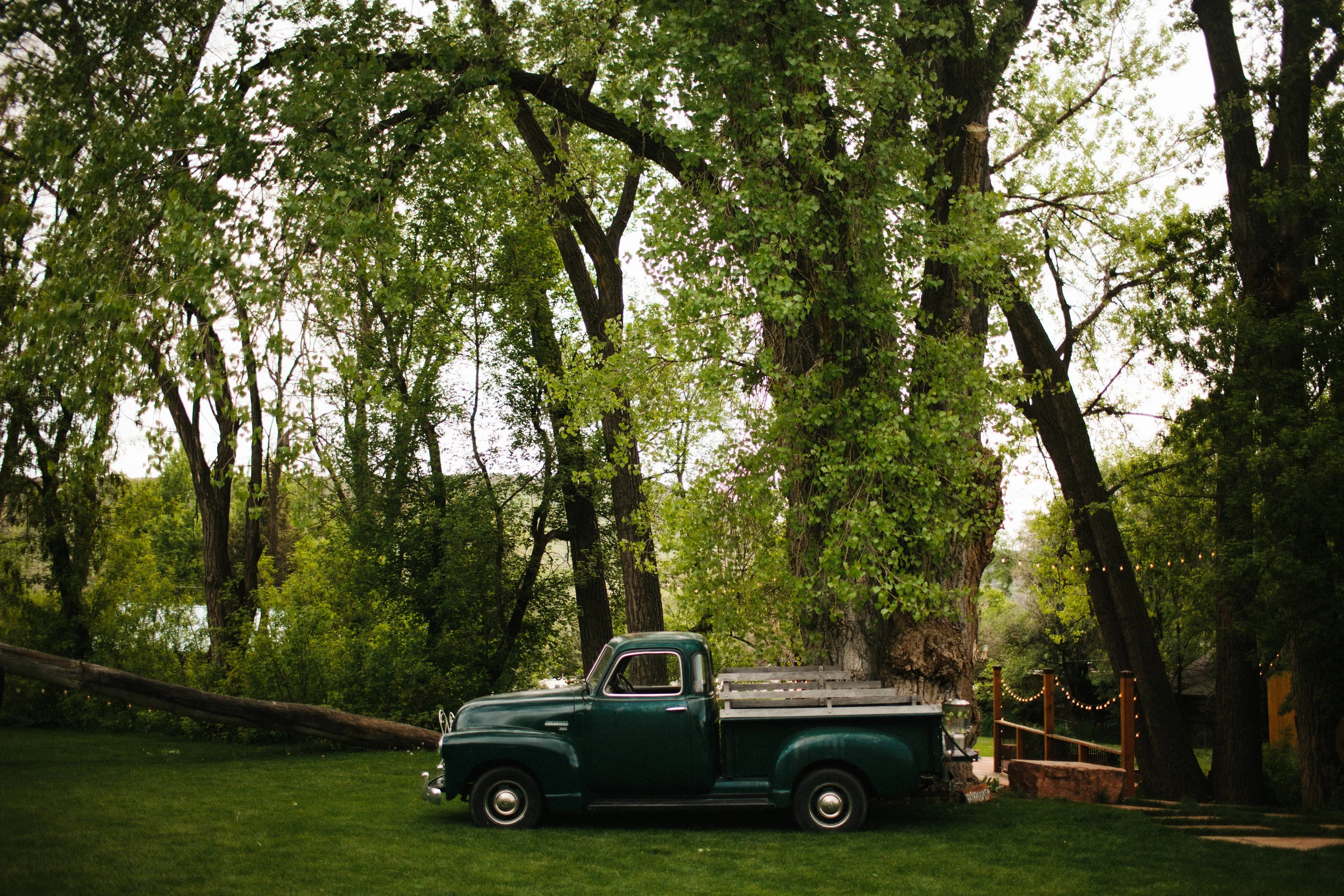 manzanitaphoto60.JPG