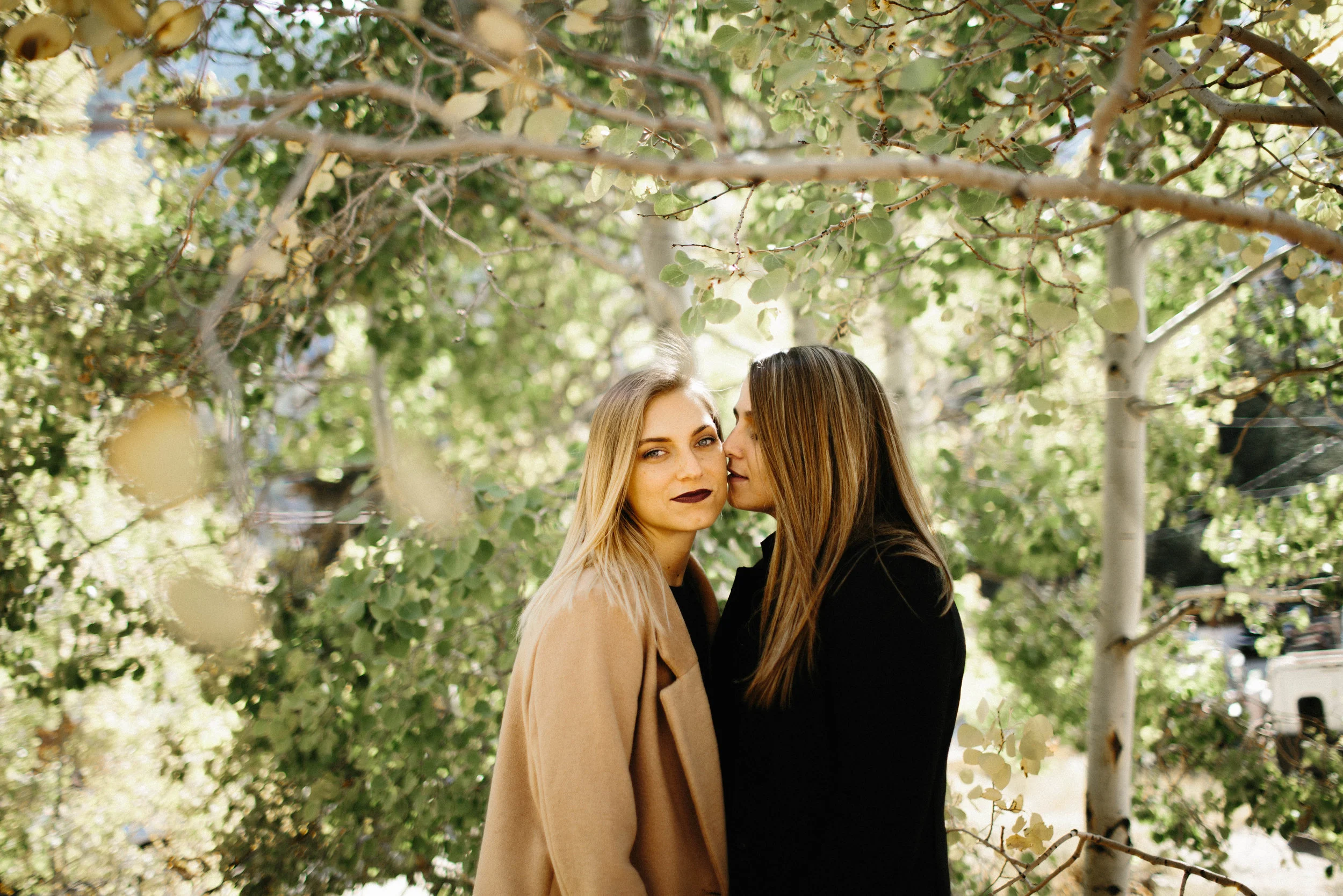 BLOGmanzanitaphoto6554.JPG