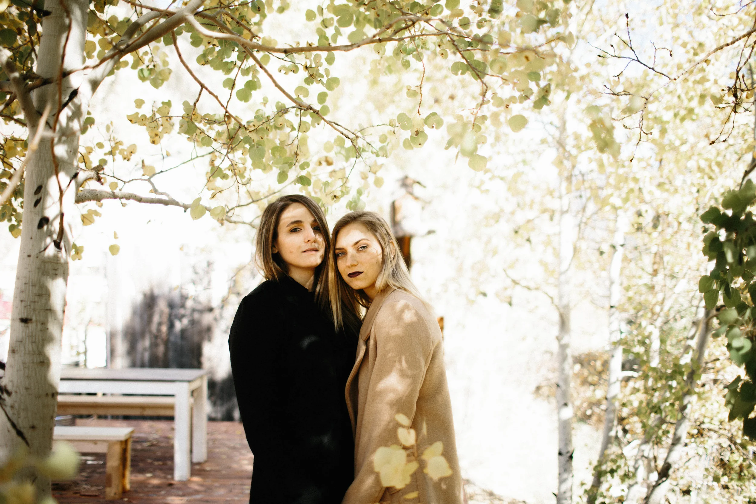 BLOGmanzanitaphoto6559.JPG