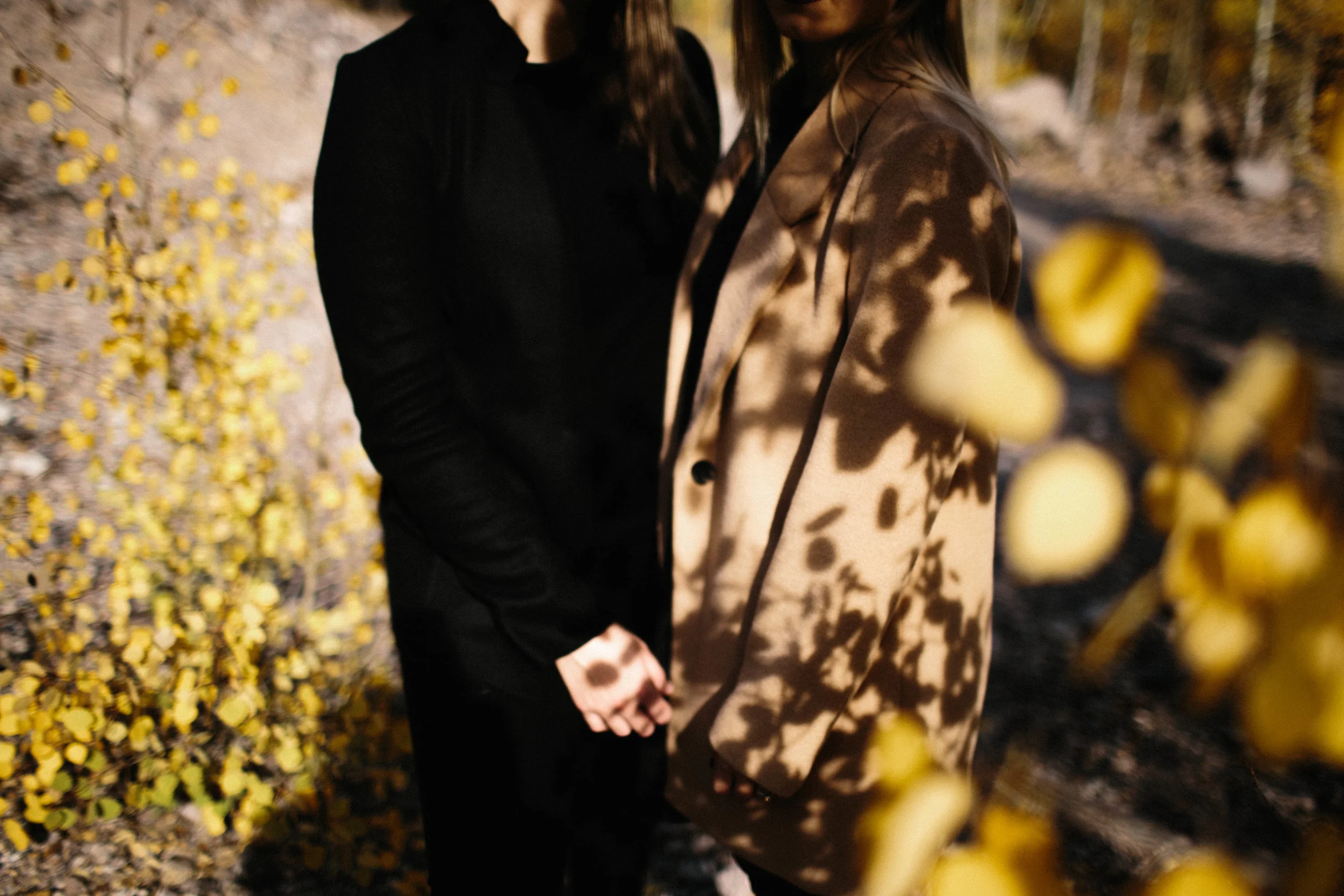 BLOGmanzanitaphoto6596.JPG