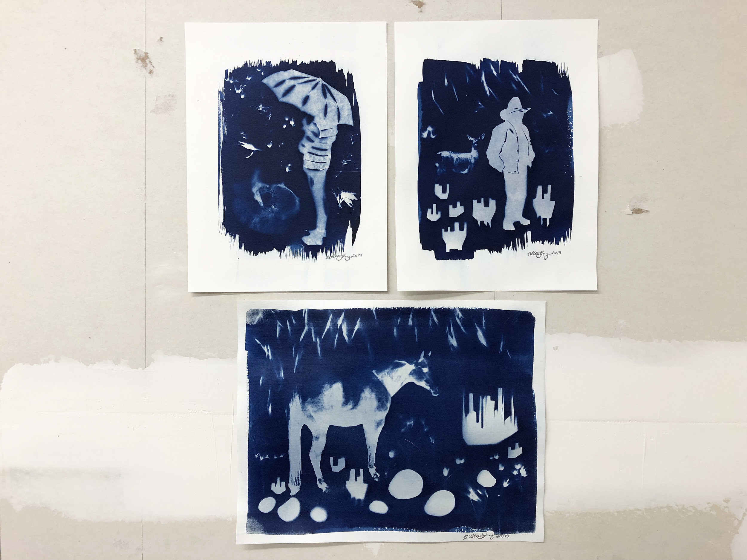 Creating multi-coloured cyanotype prints - Out of the Blue – the world  appears in colour 