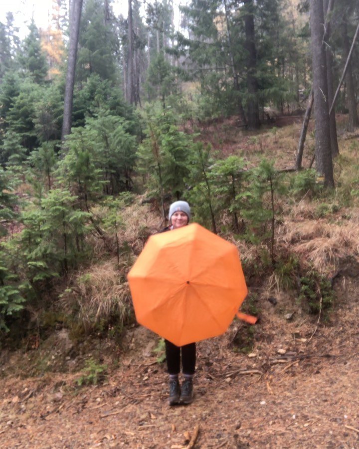 Finding the most perfect phone-holding-stump ever seen in the forest ☔️ 🌲