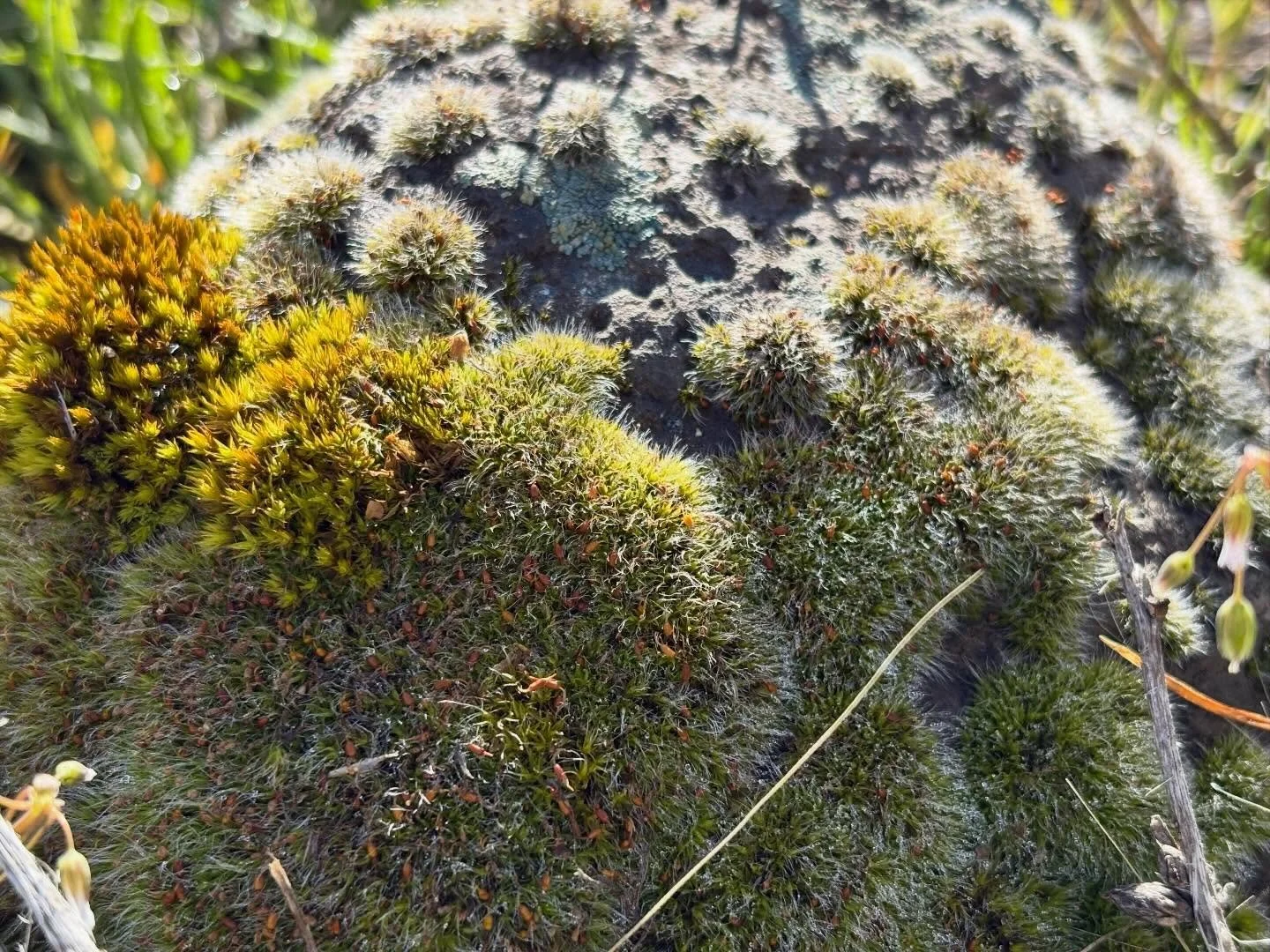 Nice lil Saturday 🌞