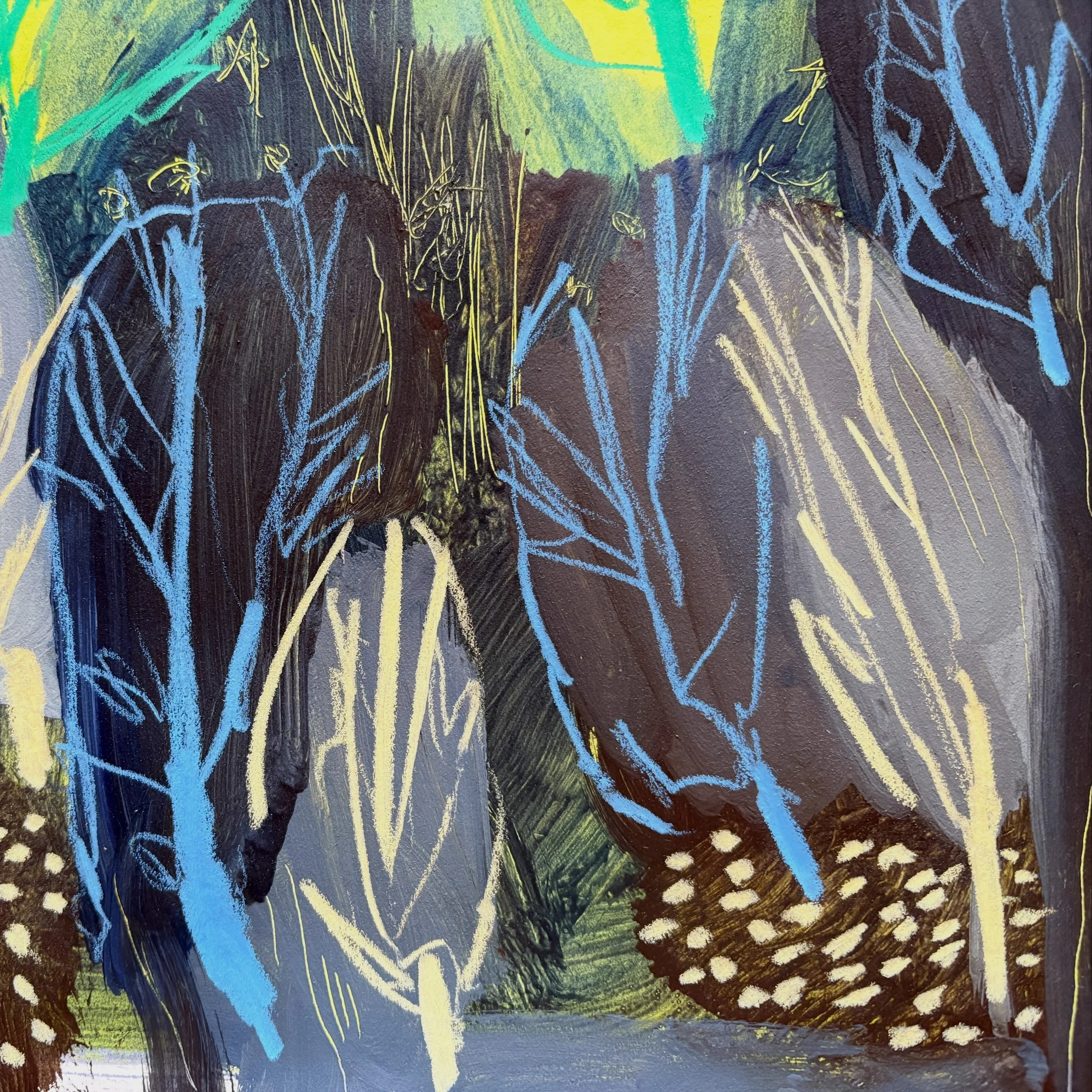 I have a new toy&hellip; and it&rsquo;s great! Tree practice today in the sketchbooks 👍