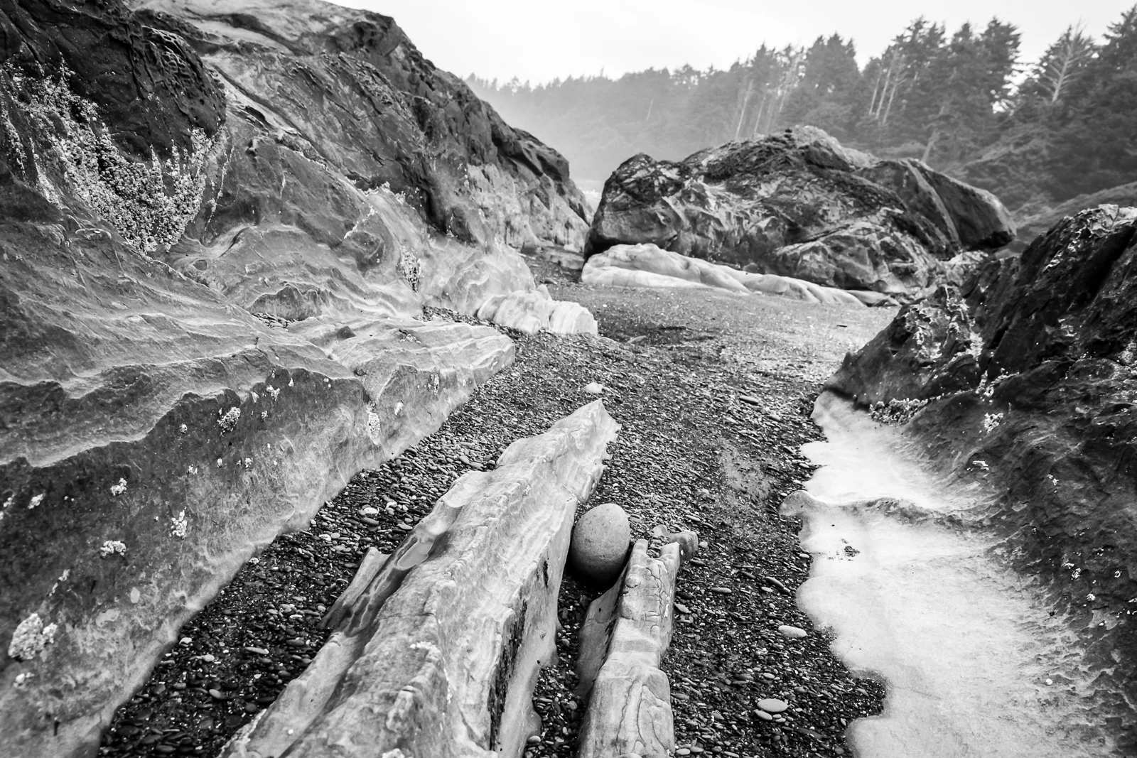 Olympic Coast