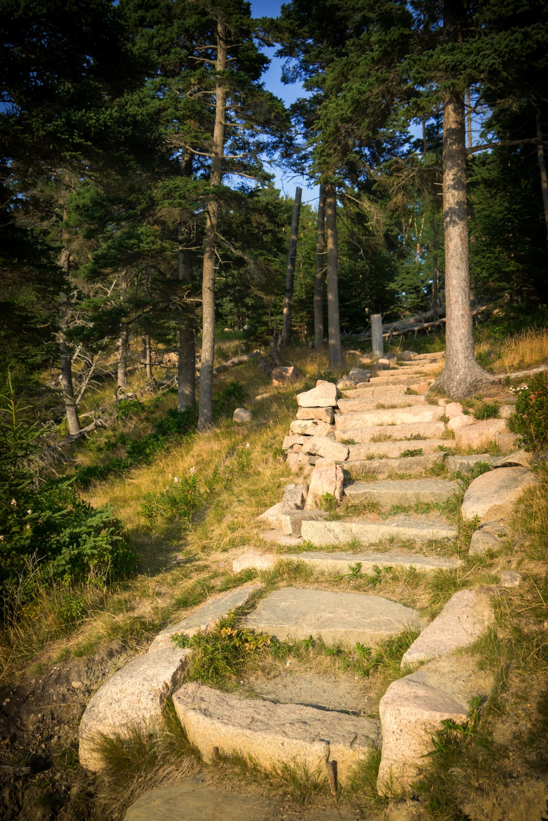 rkengdahl_DSC00130-Edit.jpg
