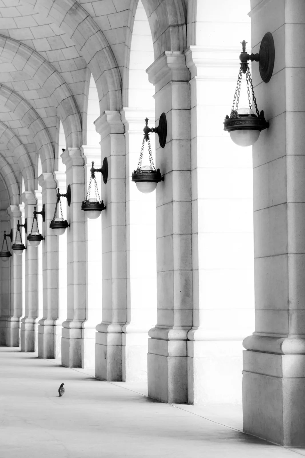Pigeon at Union Station
