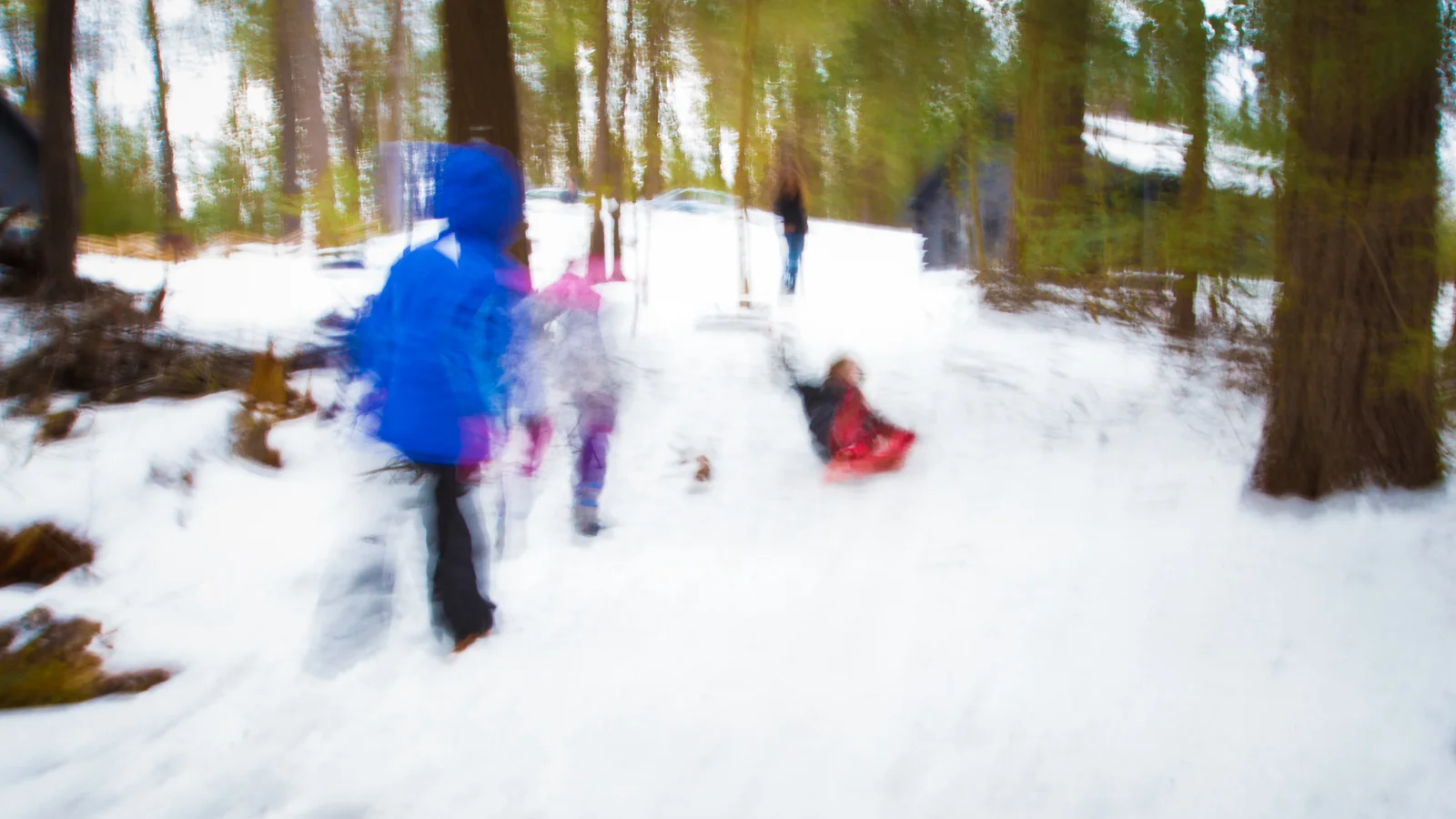 Winter's Last Hurrah