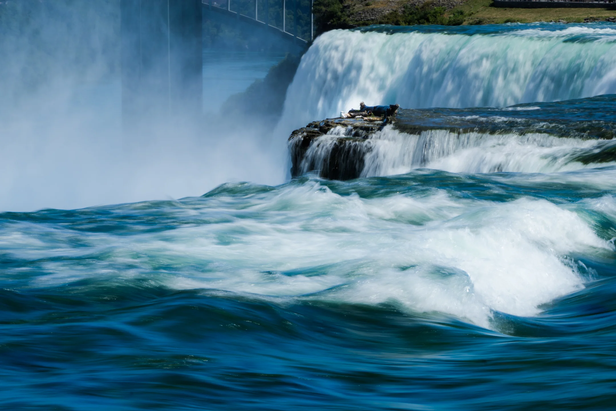 Perch on the Falls