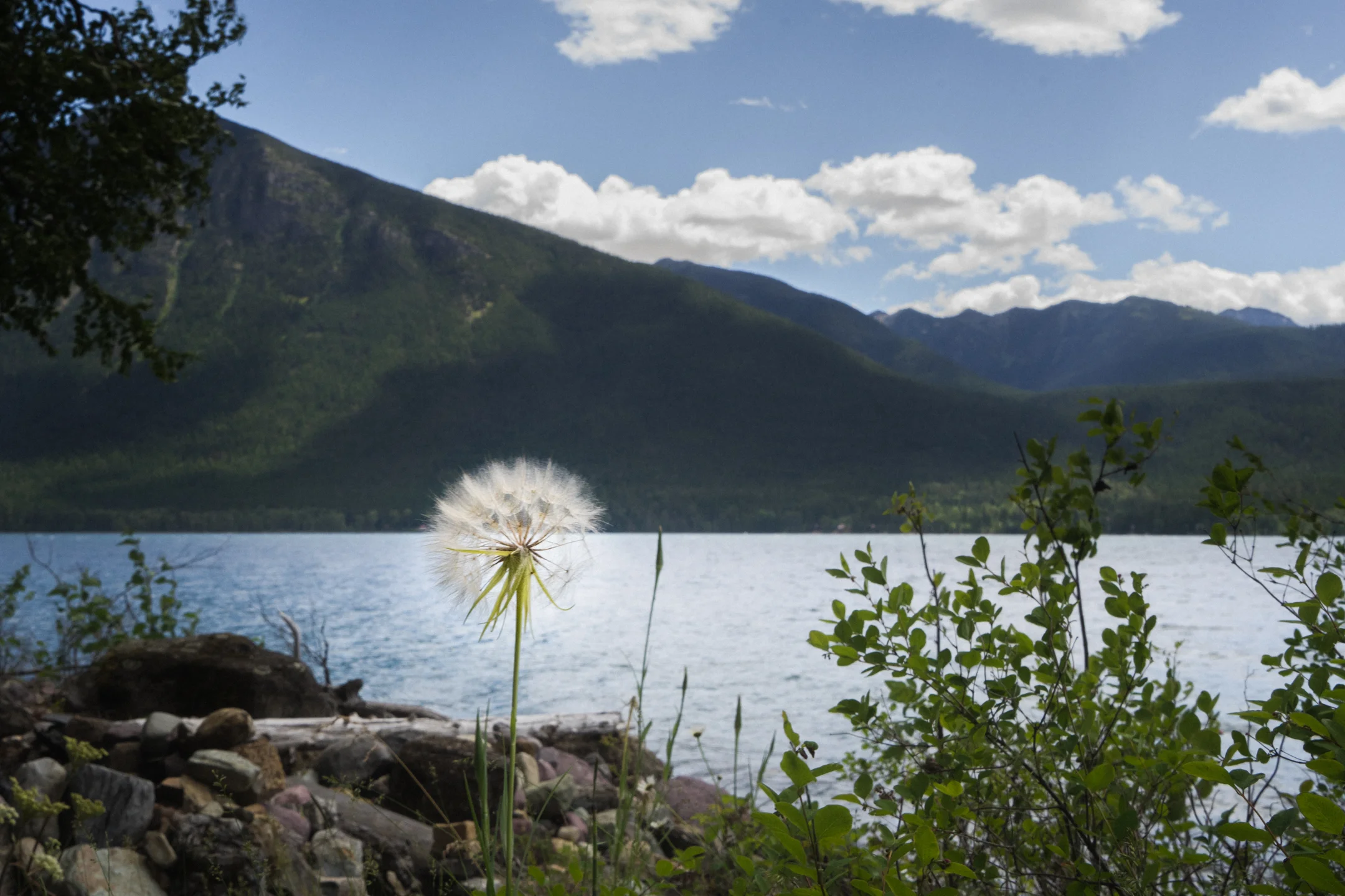 rkengdahl__DSC7813.jpg