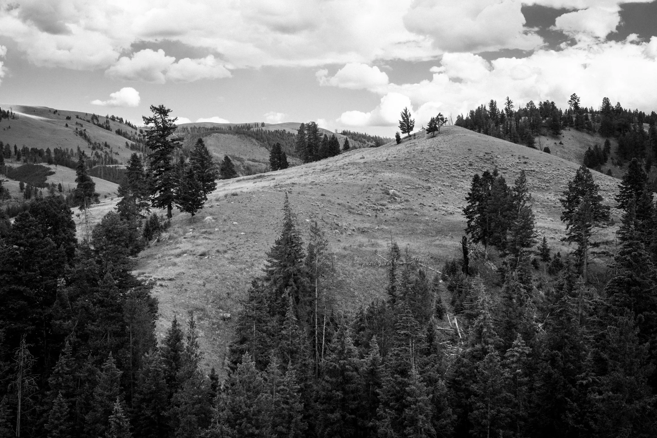 rkengdahl__DSC8729.jpg