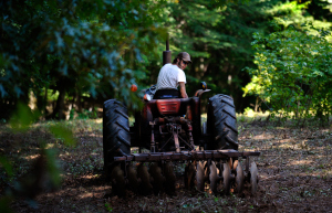 Worth on the old family tractor