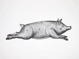 pig.jpg
