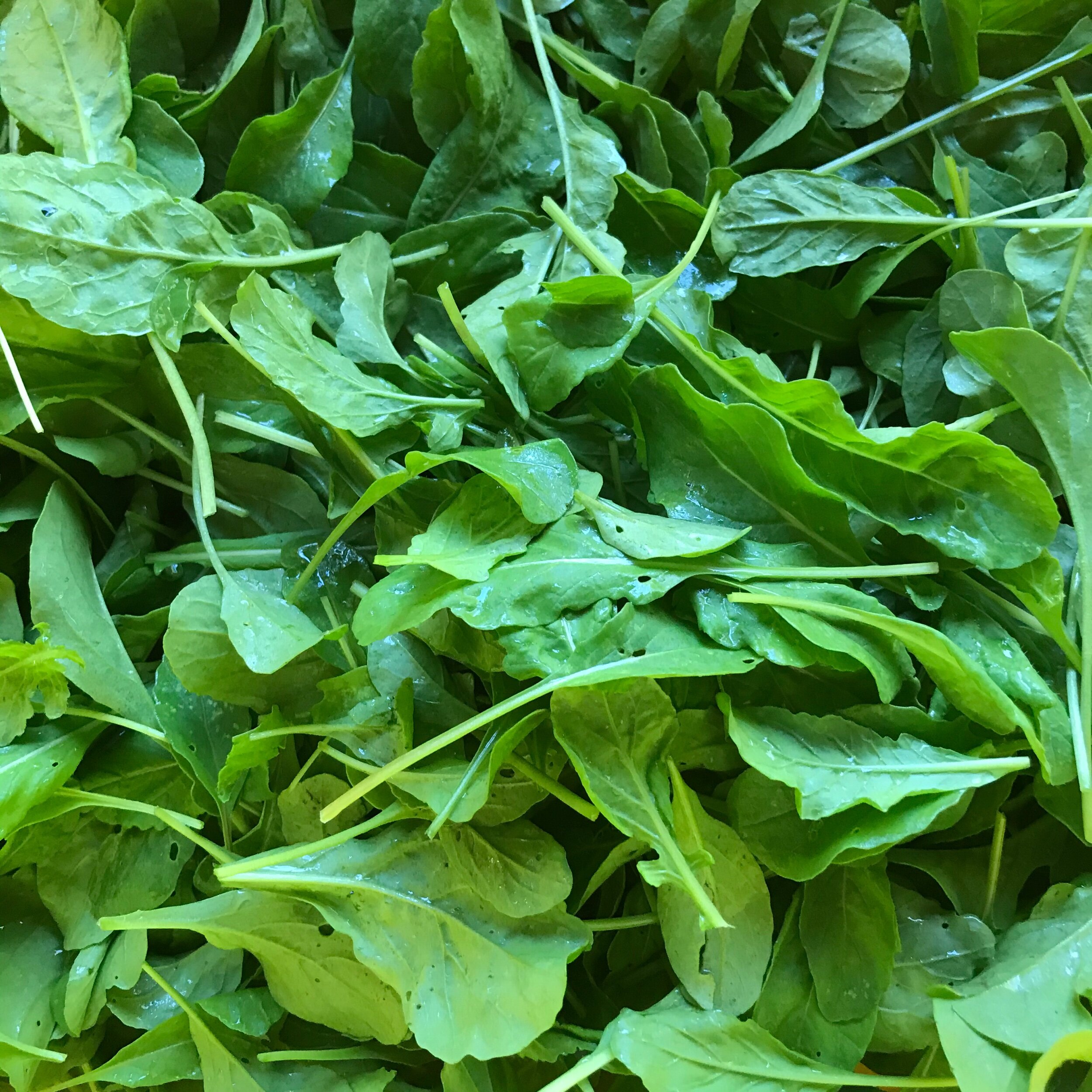 AD16423F-42AF-45B8-8DE5-BB4E43817318