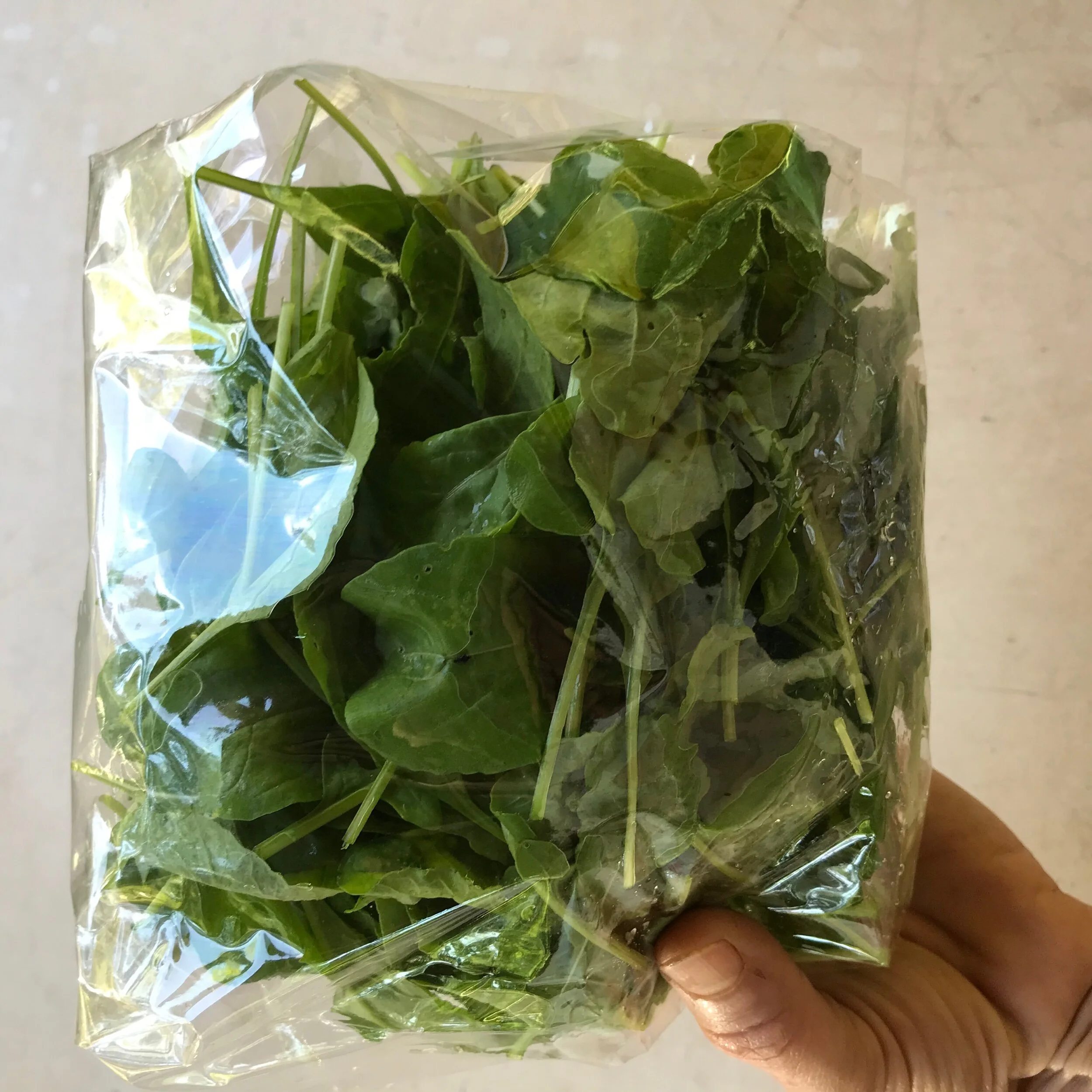 3F8AA6AC-A3B9-4FFF-9C5B-4AC9FACDB012