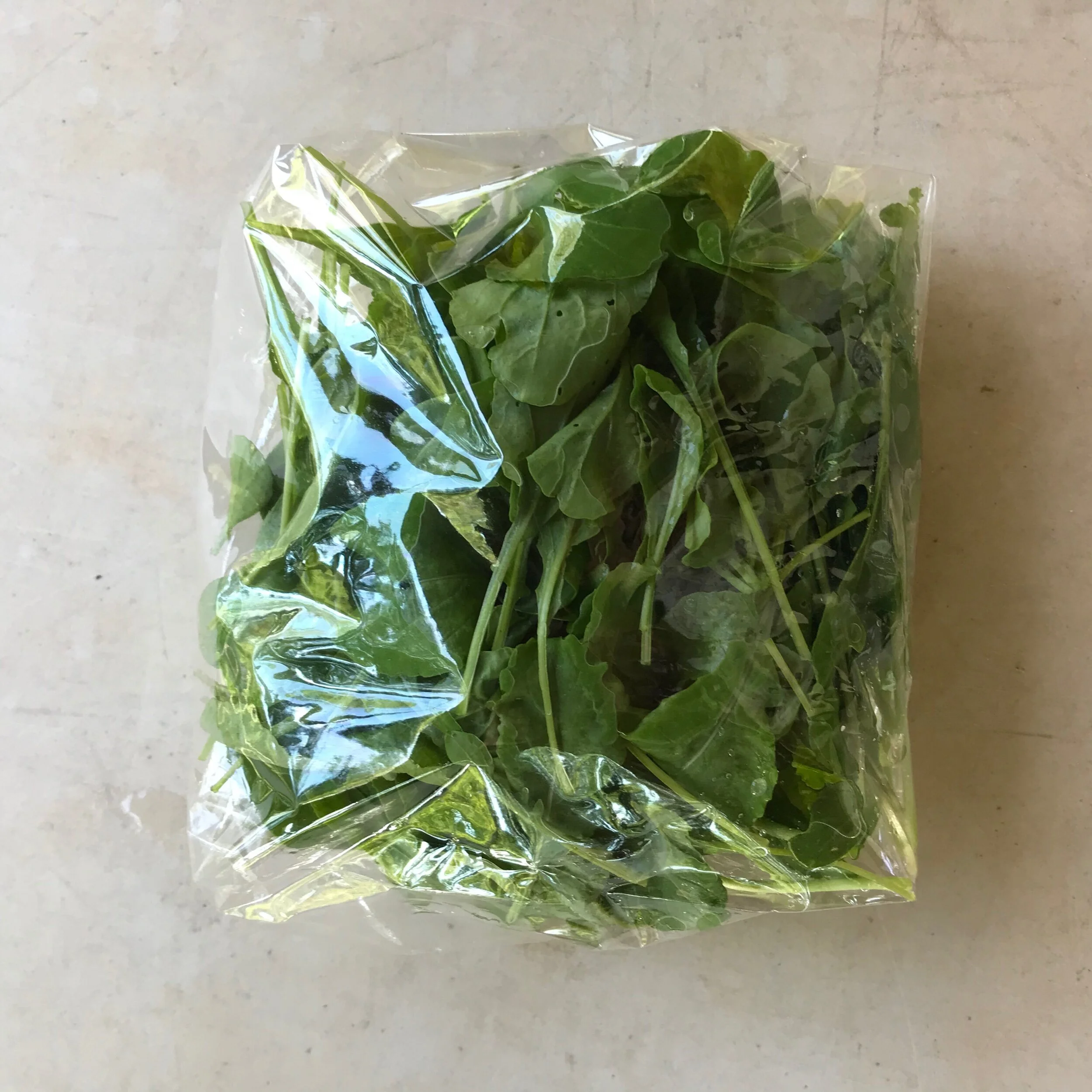 D76D03A3-EC91-4F61-9A78-57556E1A7CA7