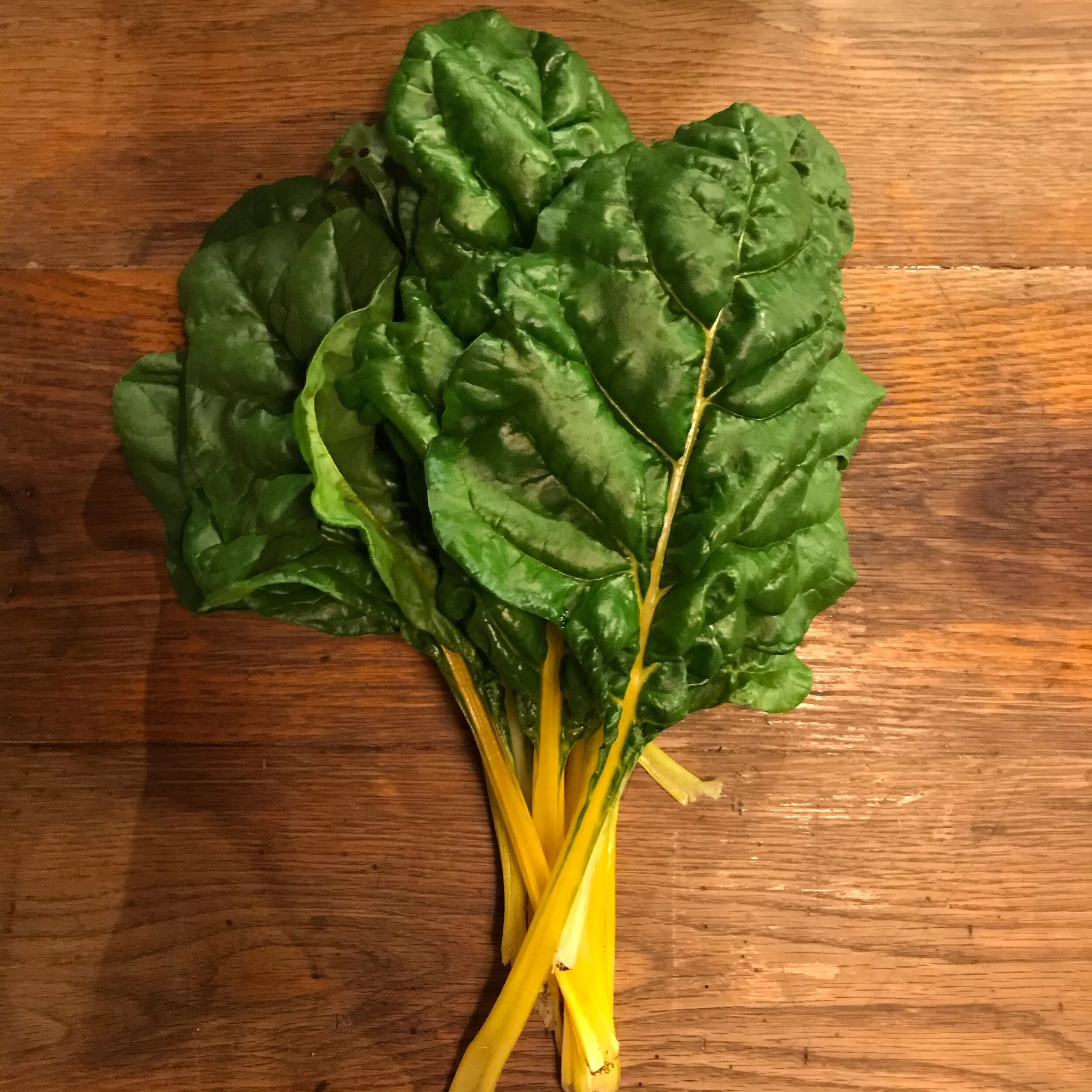 A522F1BF-2F3D-439E-875C-15D4A4D020AE