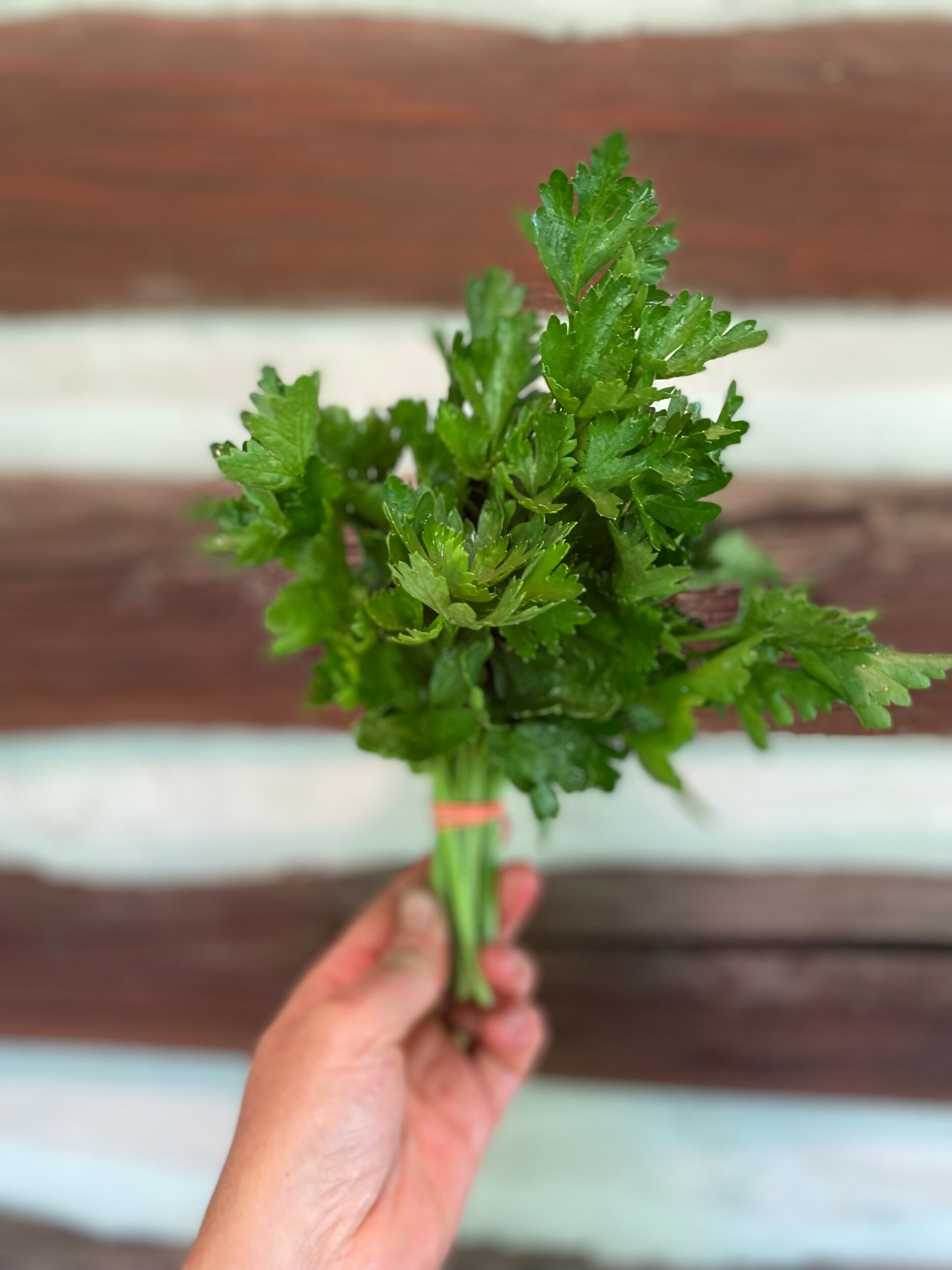 90D26B95-8E0D-4C36-8D01-C6D9ACDF97A4