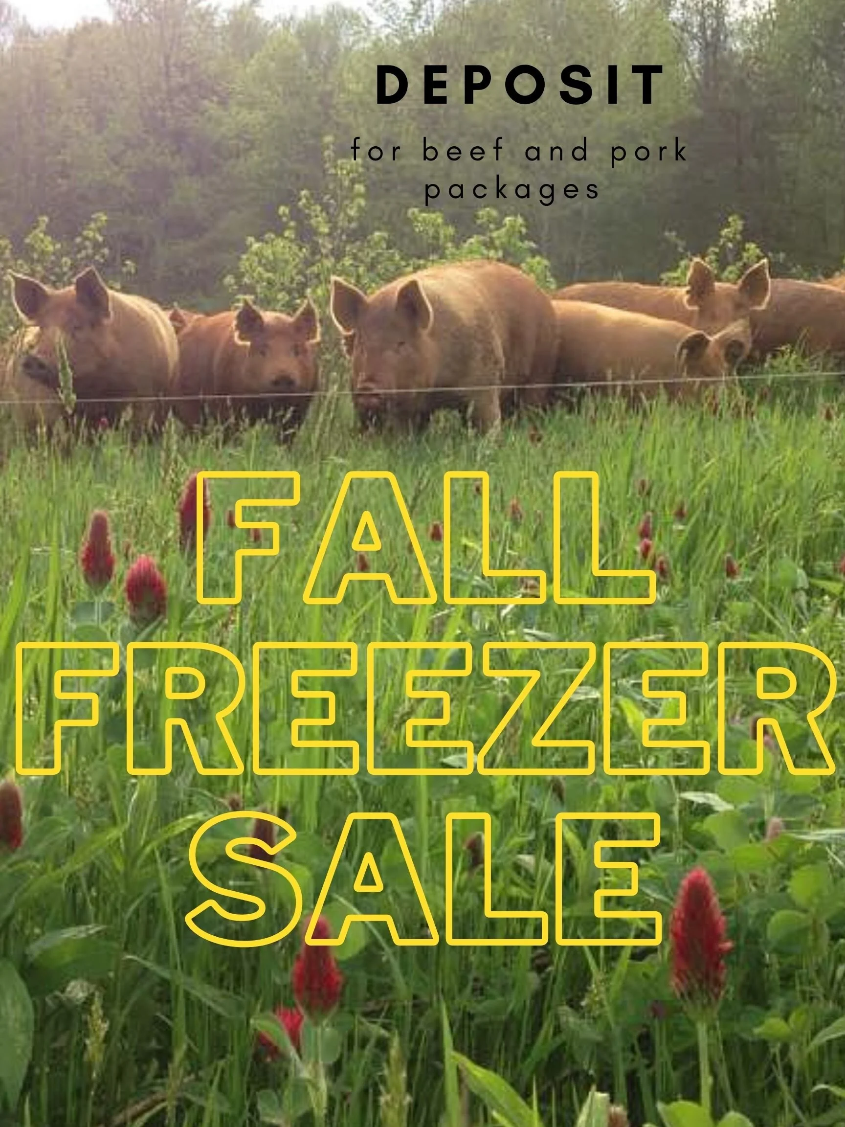 fall.jpg
