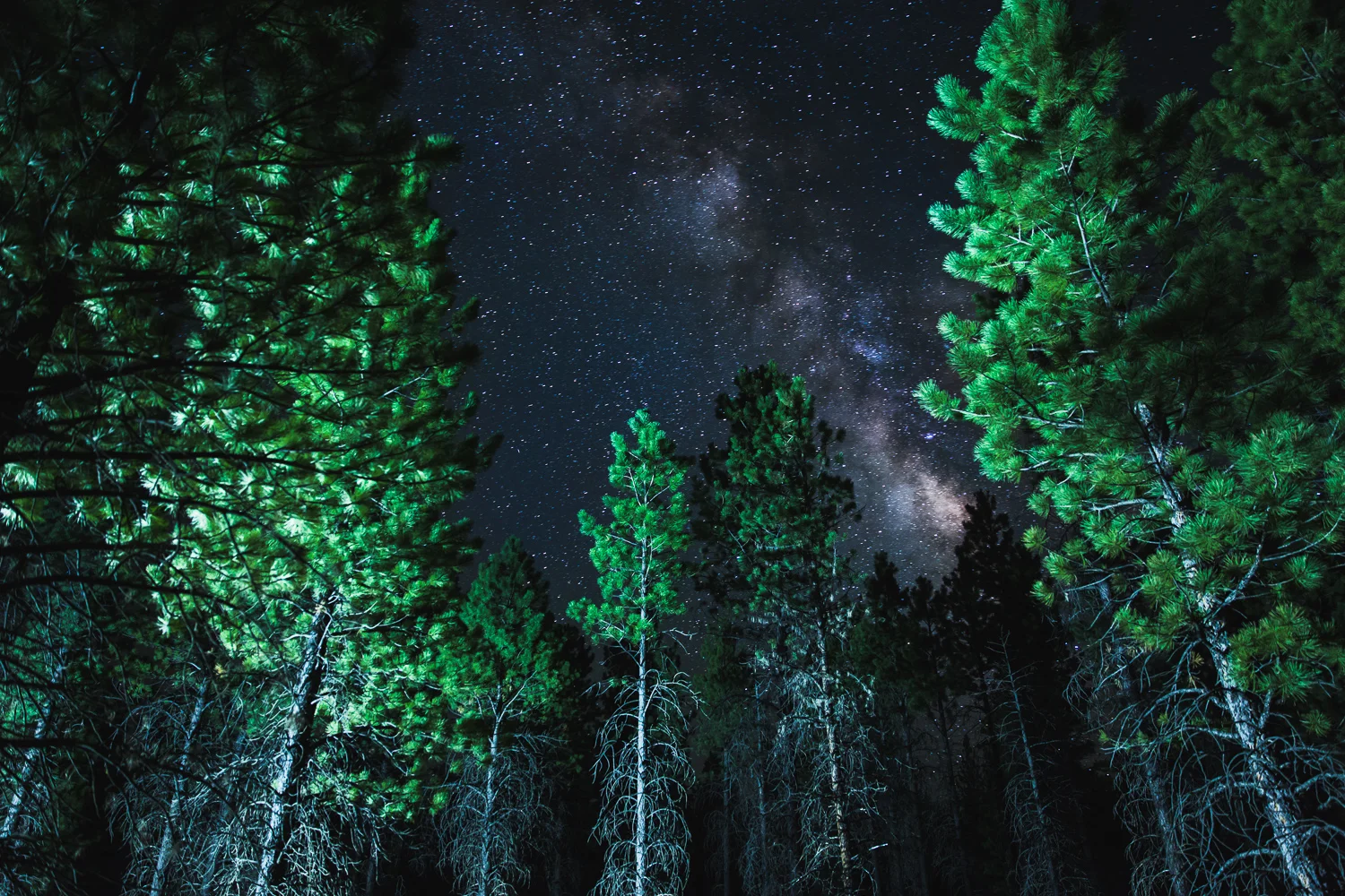 Majestic West-2390.jpg
