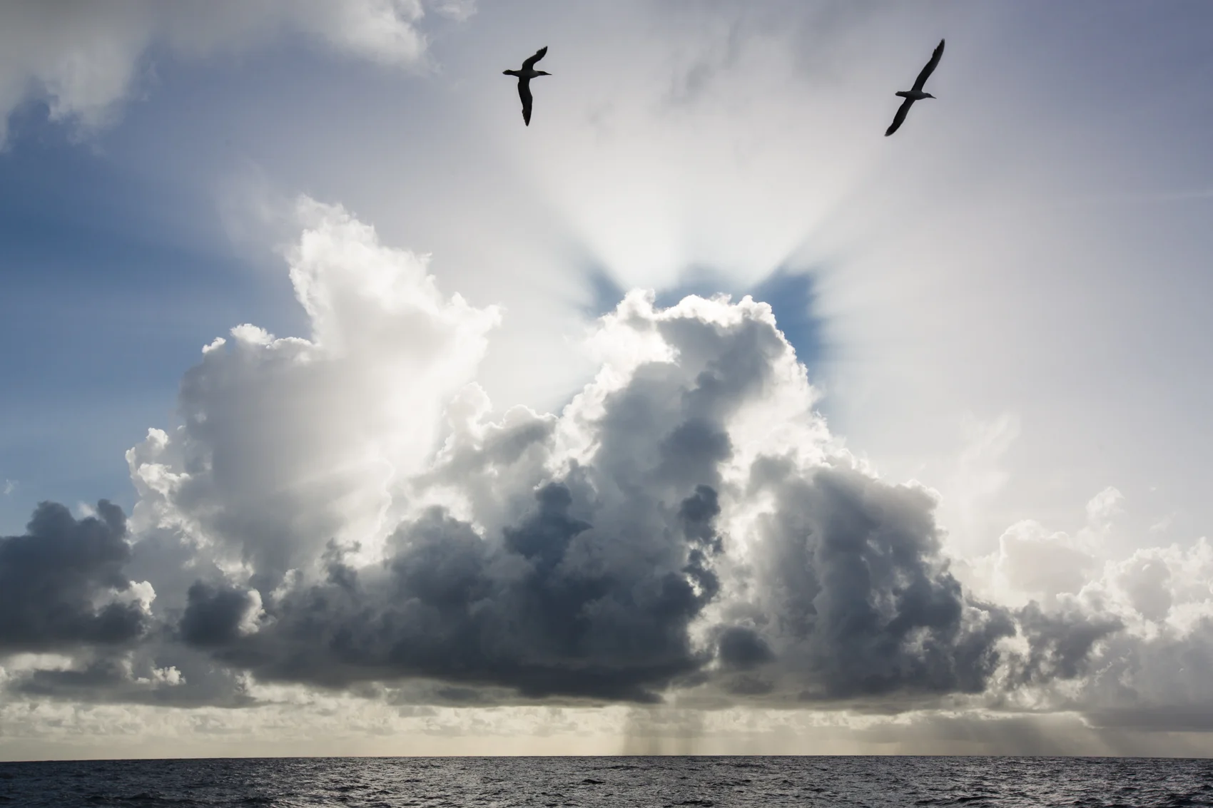 Cool Change-5D0768-160729-Edit.jpg