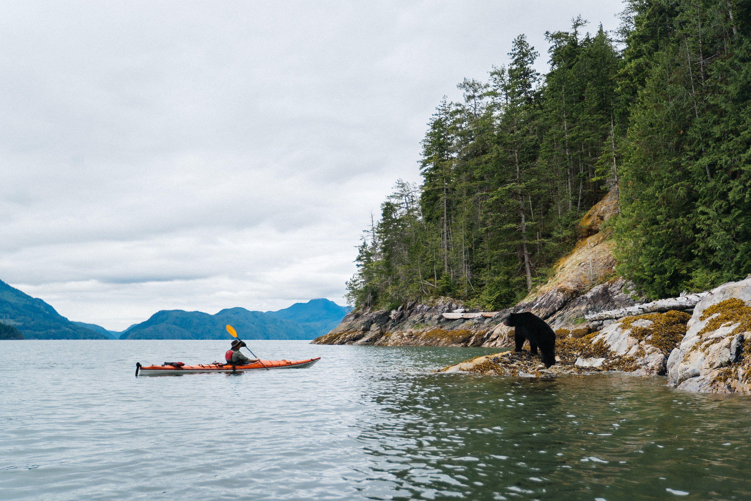 Desolation Sound-03926-Edit-2.jpg