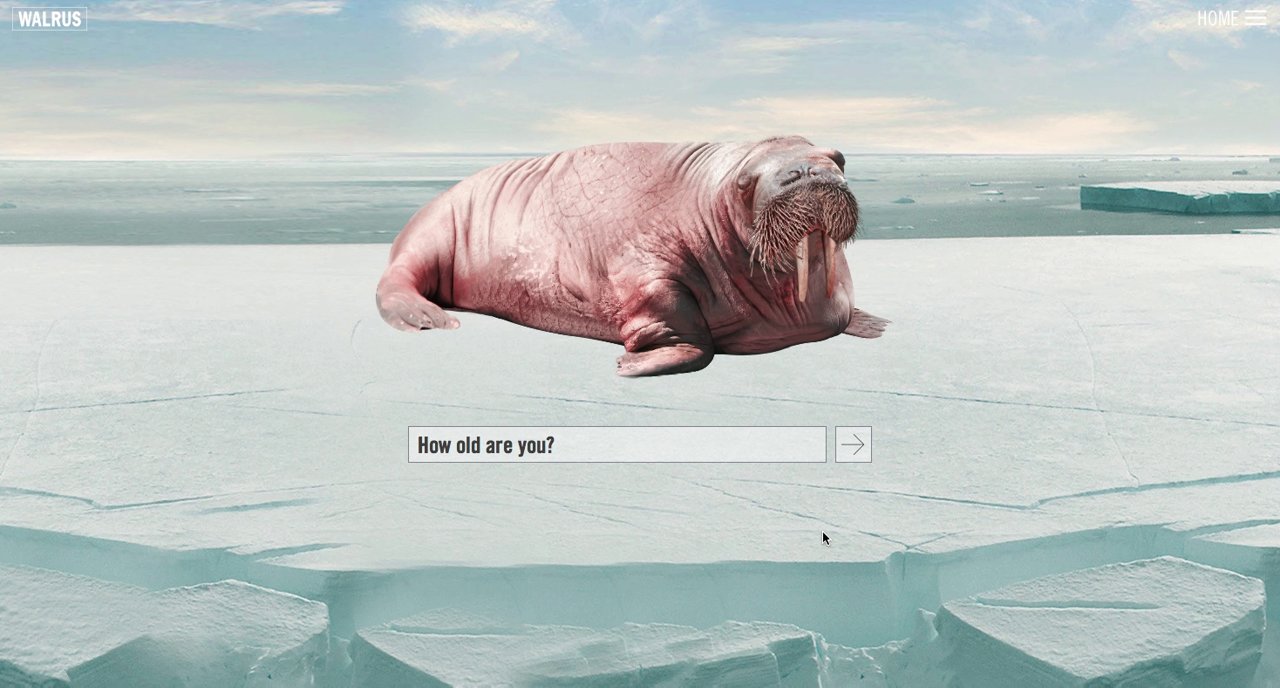 Walrus Agency Website