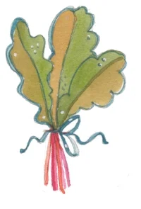 Swiss chard