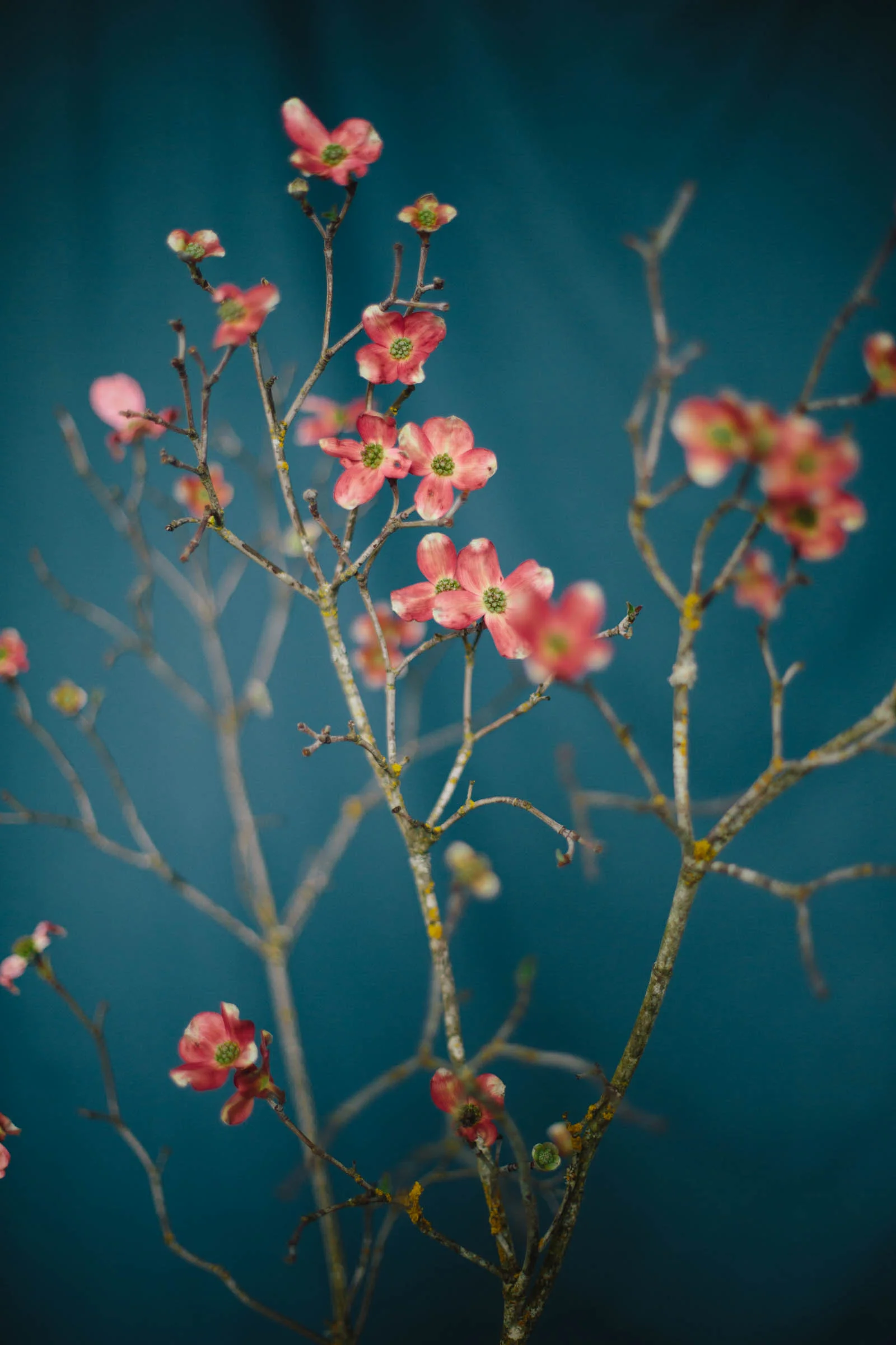 kateosbornephotography-158.jpg