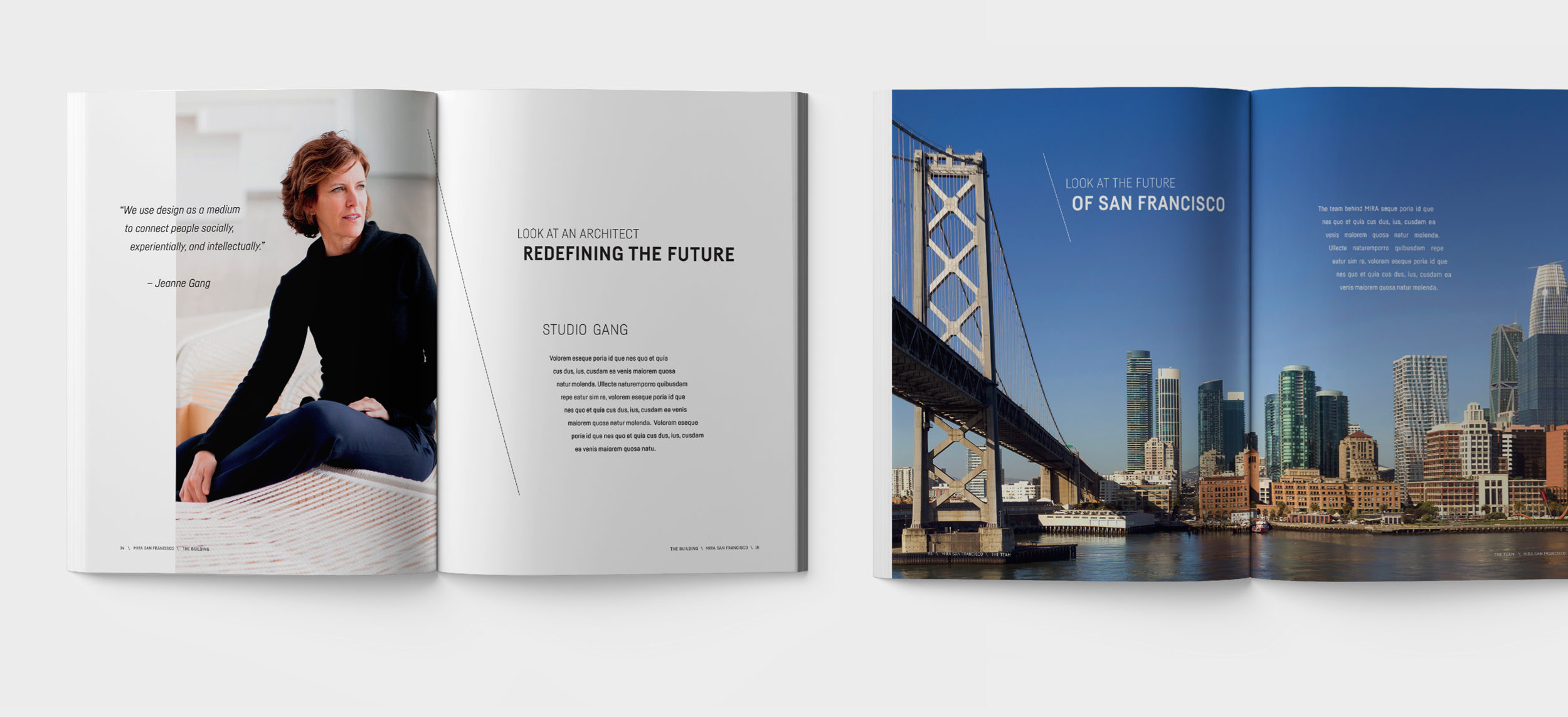 MIRA-brochure-spreads.png