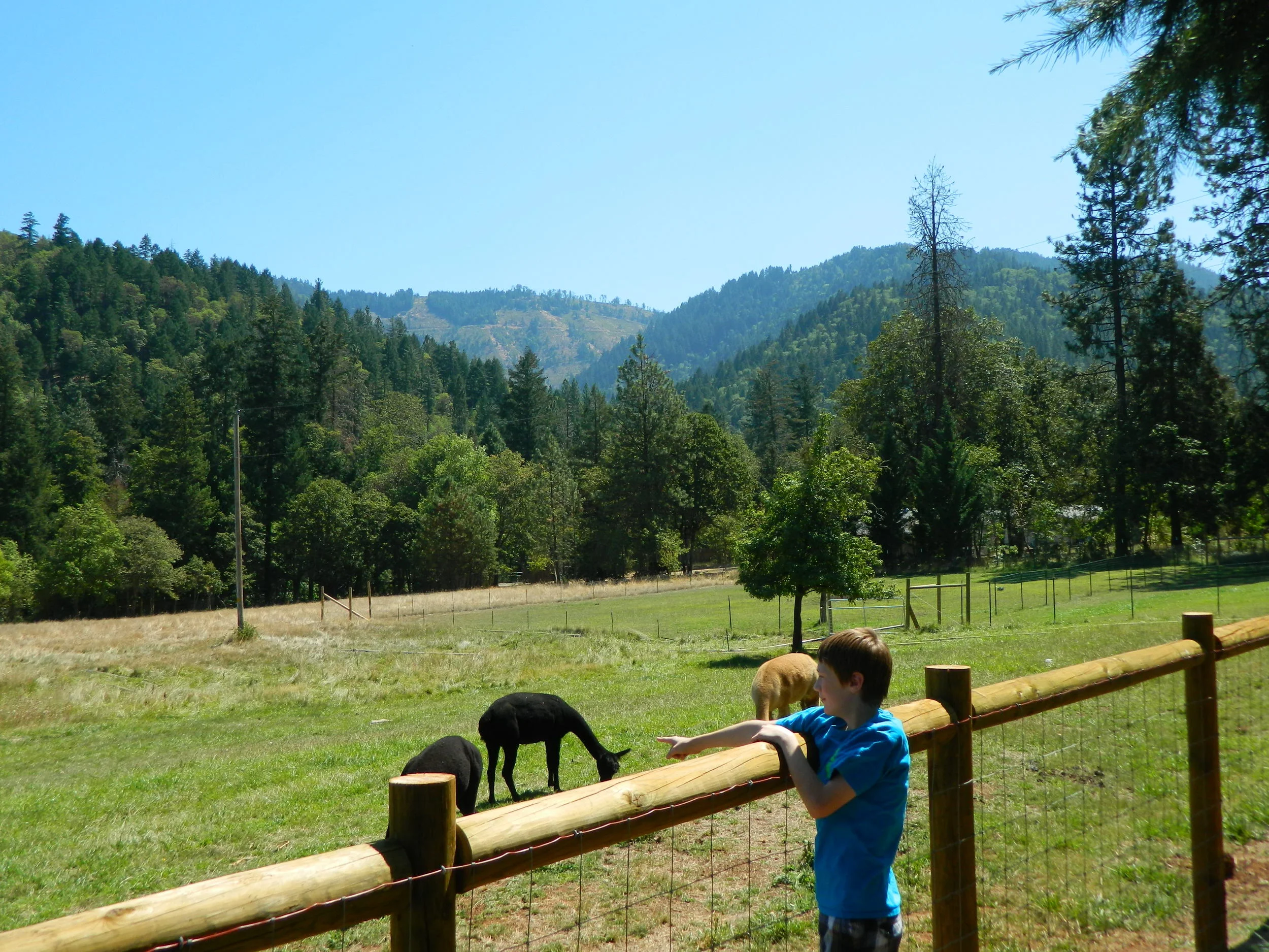 Robin C. Moore and Herb H Wong “Children have a natural affinity towards nature. Dirt, water, plants, and small animals attract and hold children’s attention for hours, days, even a lifetime.”