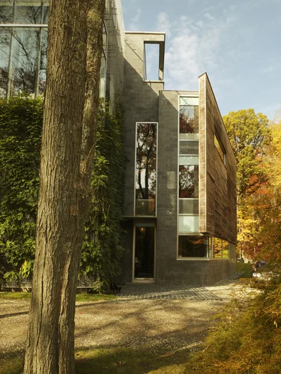 YOUNG-Multipurpose-04 copy.jpg