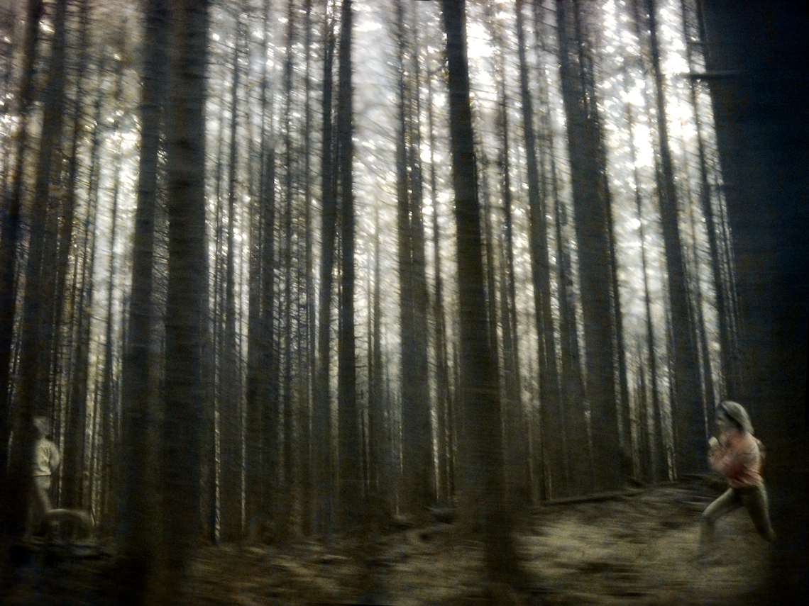 "Finding myself is the quest of life." -unknown I do like the chase. I chase after love and family and fame. I chase after memory and trust and strength and pleasure. I chase after answers and questions and ideas and friends and wishes and power and light and shadow and forgiveness and, of course, always, a bit of fun along the way. Lately... it seems I mostly chase myself... Notes on the image: Greetings, the forest shot was taken long ago and I came across it the other day and started thinking about motion and dodging among trees and speed and chasing... I asked my daughter to run up the street out in front of our house and we giggled as I ran beside her and tried to take pictures and her shoes came off and we laughed some more and then she went in and got these shoes that were completely inappropriate for running and we ran some more. I told her not to grin while she ran cuz I needed a serious look as she chased herself but she grinned and me too (can you see it in her face?) and it became this wonderful wonderful moment.... and that's when i realized... this image is about chasing those moments and never ever knowing when I might catch one.... and so I chase. 