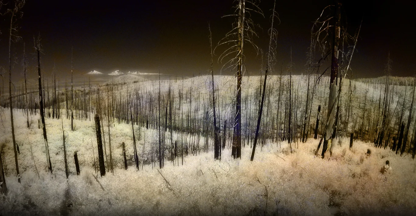 "When one tugs at the single, smallest thing, one finds it attached to the rest of the world." -John Muir This is a one-time forest in Oregon that burned many years ago and is still struggling to renew. IR image.