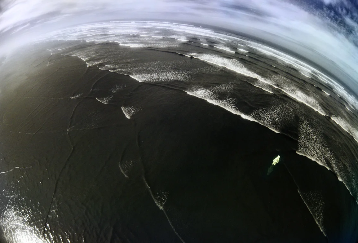 "The sea pronounces something over and over, in a hoarse whisper; I cannot quite make it out." -Annie Dillard Original image taken with an IR-converted camera lofted overhead on a kite-string. This is the shallows of our lovely Pacific Ocean on the shores of Washington State. This is our water and, contrary to appearances, it is not endless.
