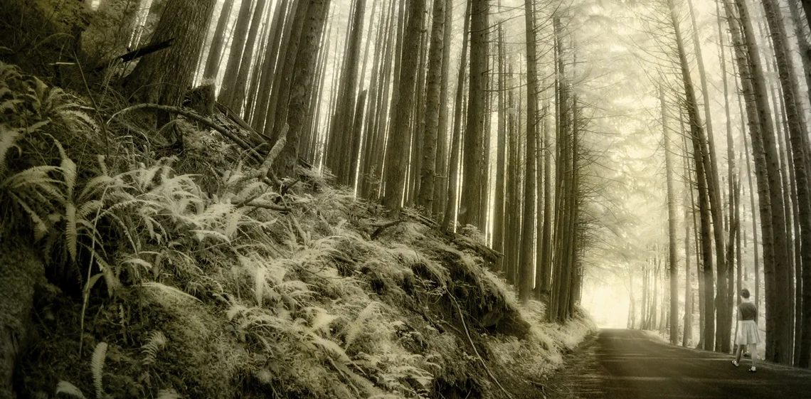 _outOfTheWoods.jpg