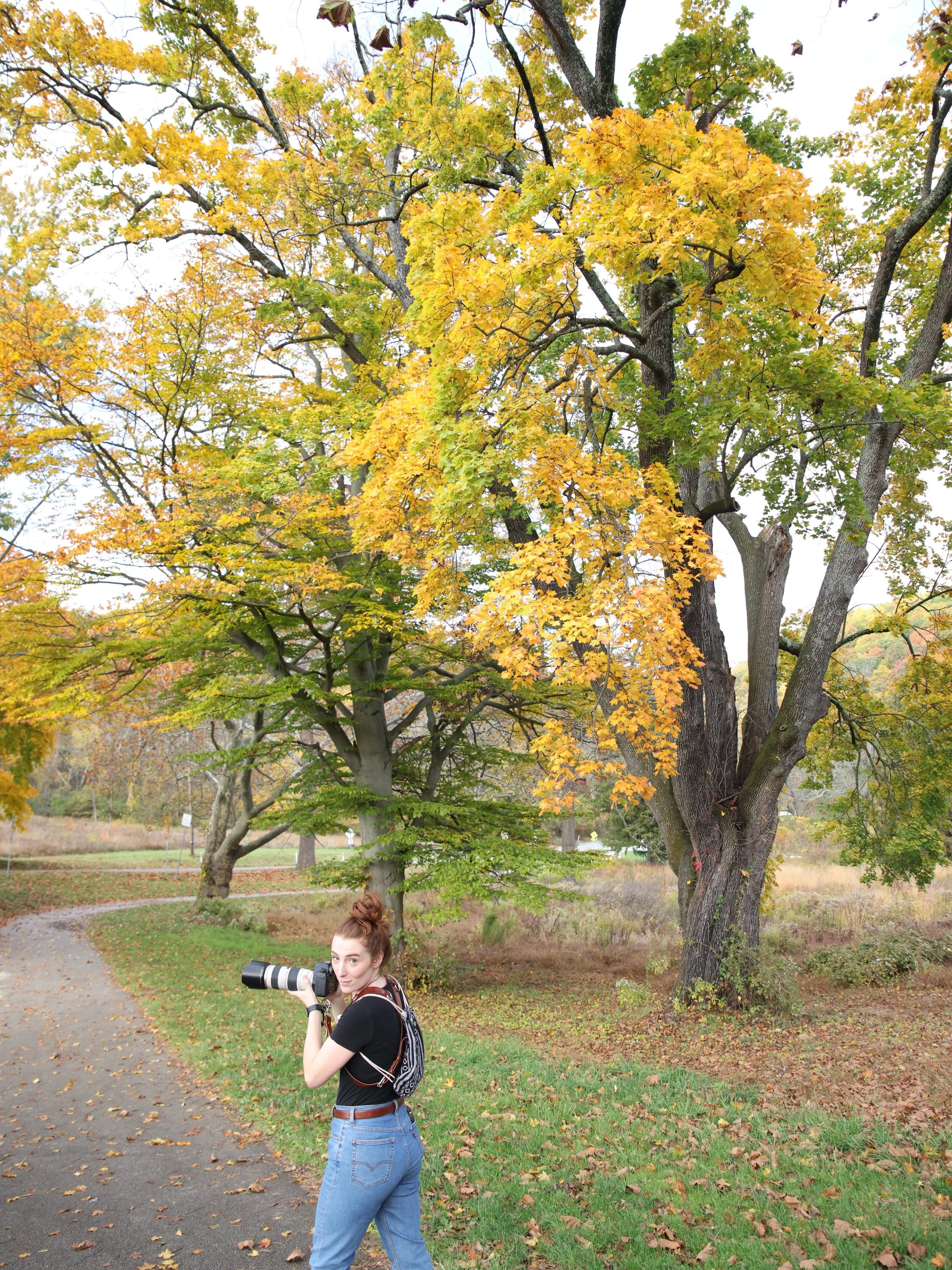 Fall is my forever favorite 🍂📸