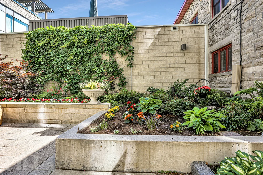 Cathedral Hill 428 Sparks Street Ottawa Centretown Condos For Sale Ottawa — Matt Richling