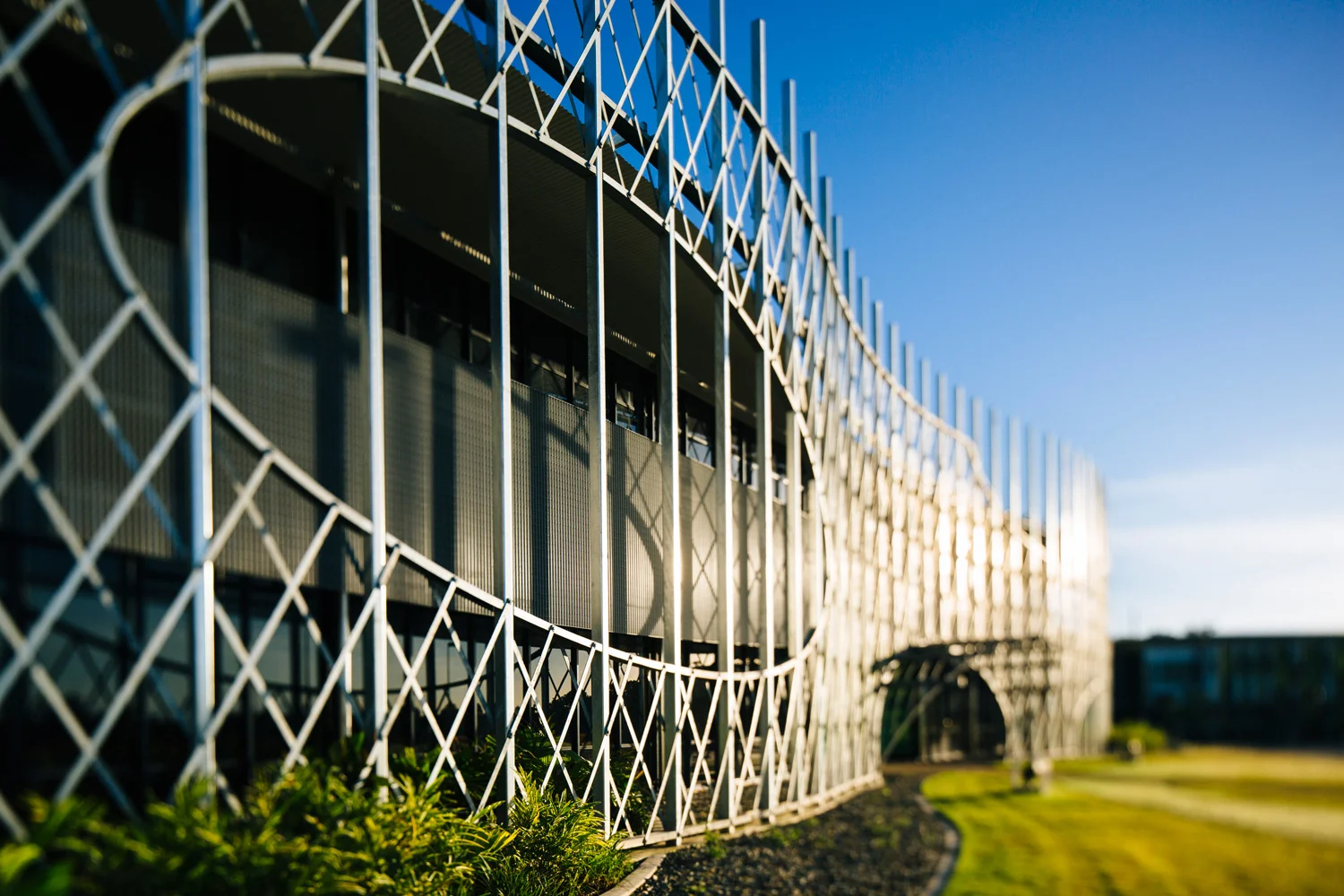 cairns-institute-003.jpg