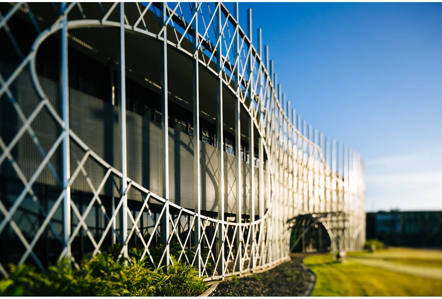 005-Cairns-Institute.jpg