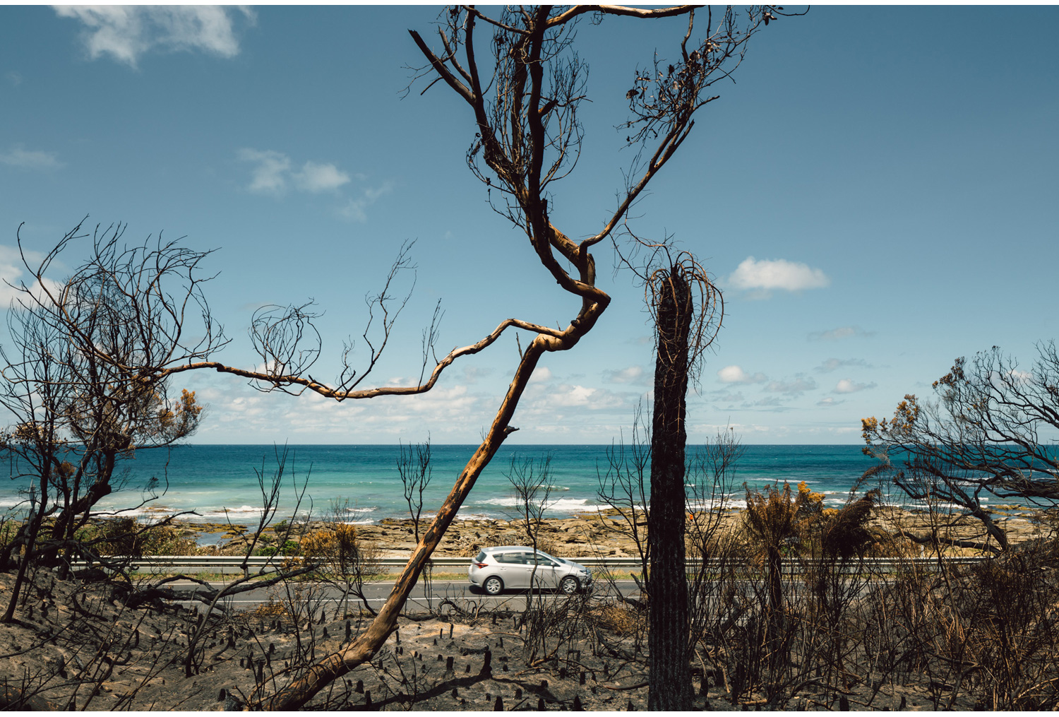 Great Ocean Road