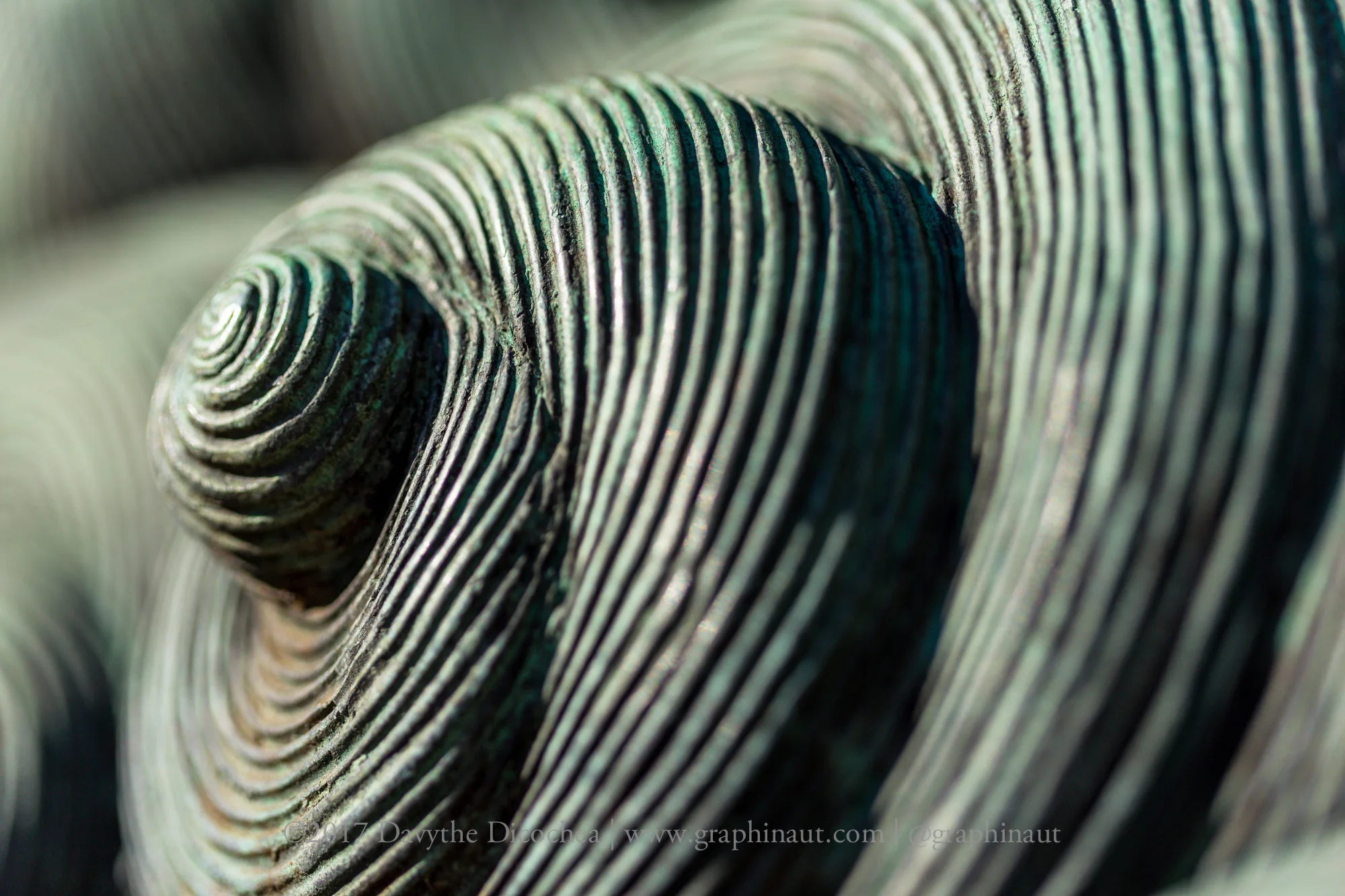 Shishi Curl, Hakone