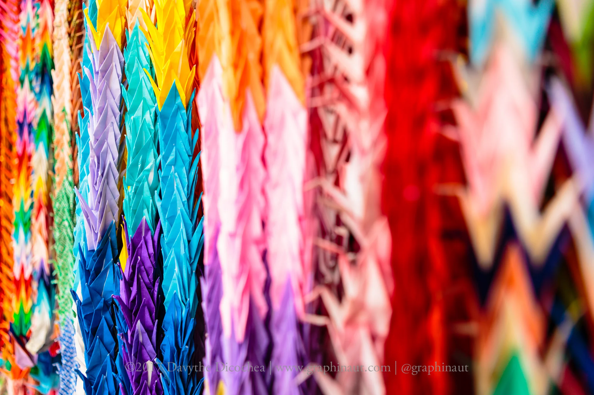 Paper Cranes, Kyoto