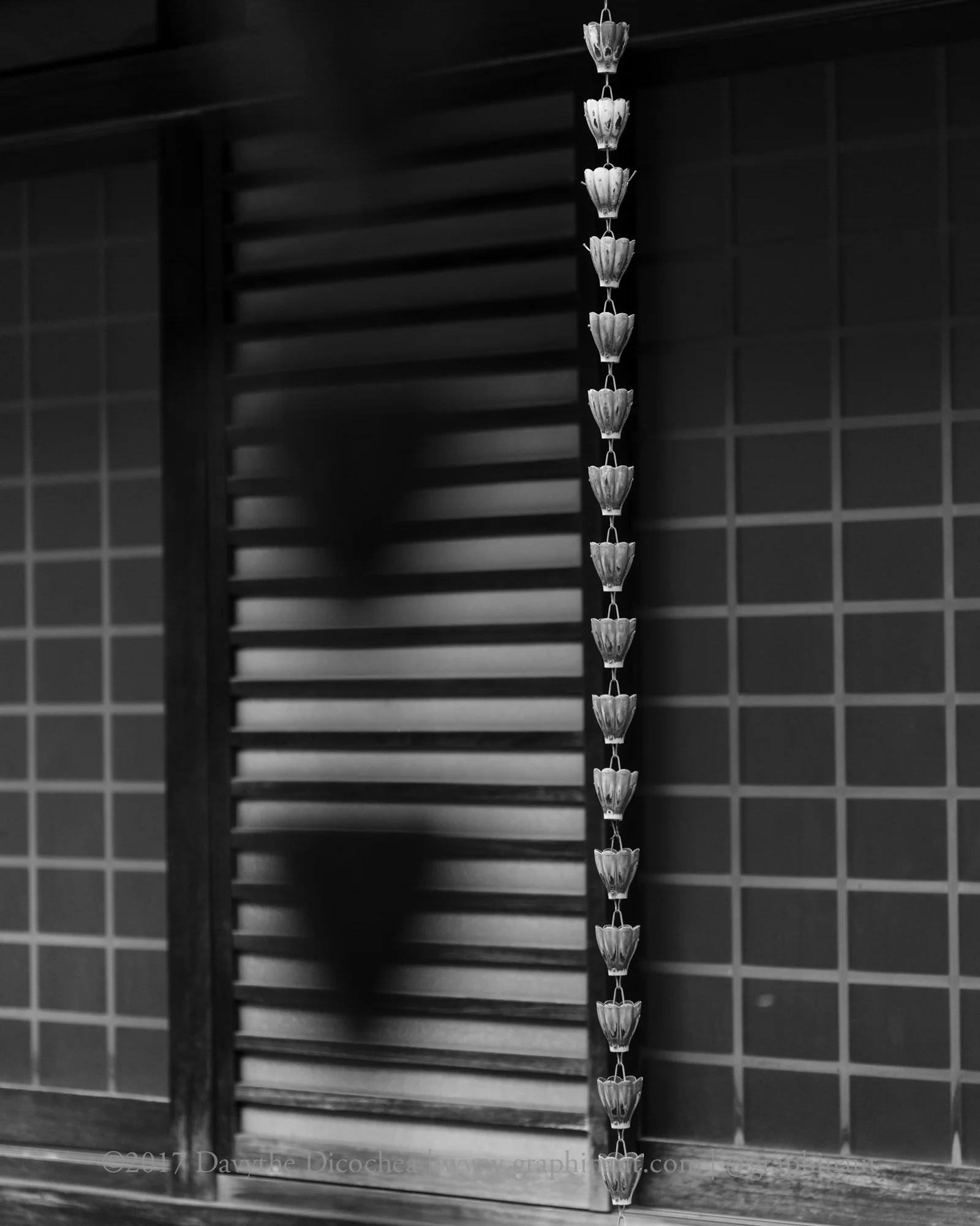 Rain Chain in Black and White, Tokyo